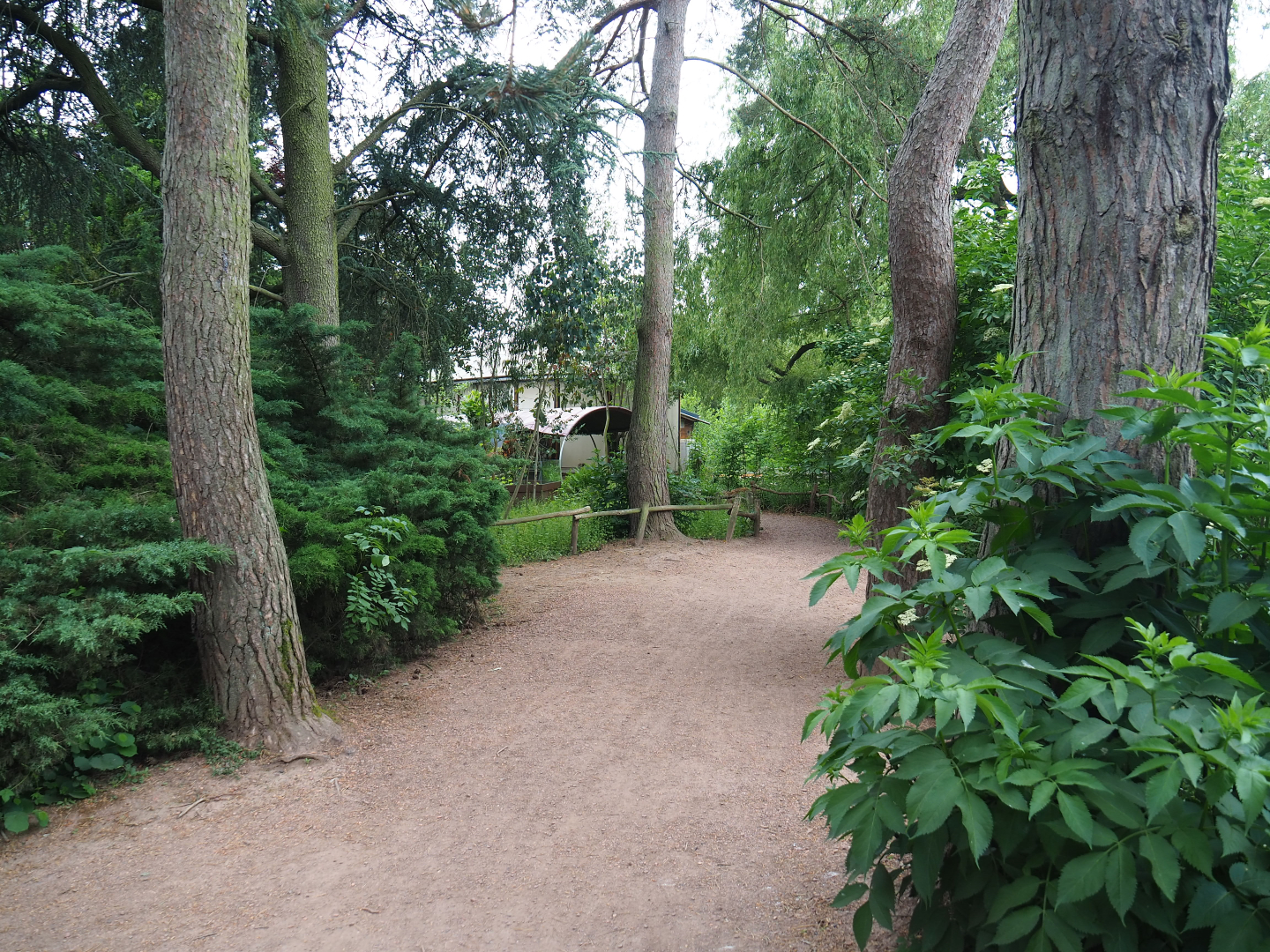 Walkway in the Oceania/Australia section, 2020-05-23