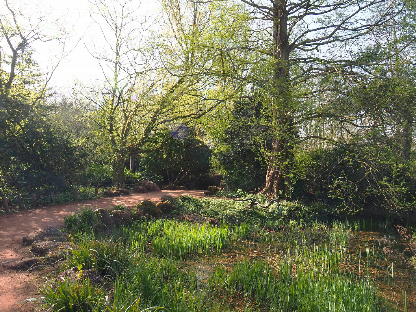 Walkway in the Oceania section, 2022-04-12