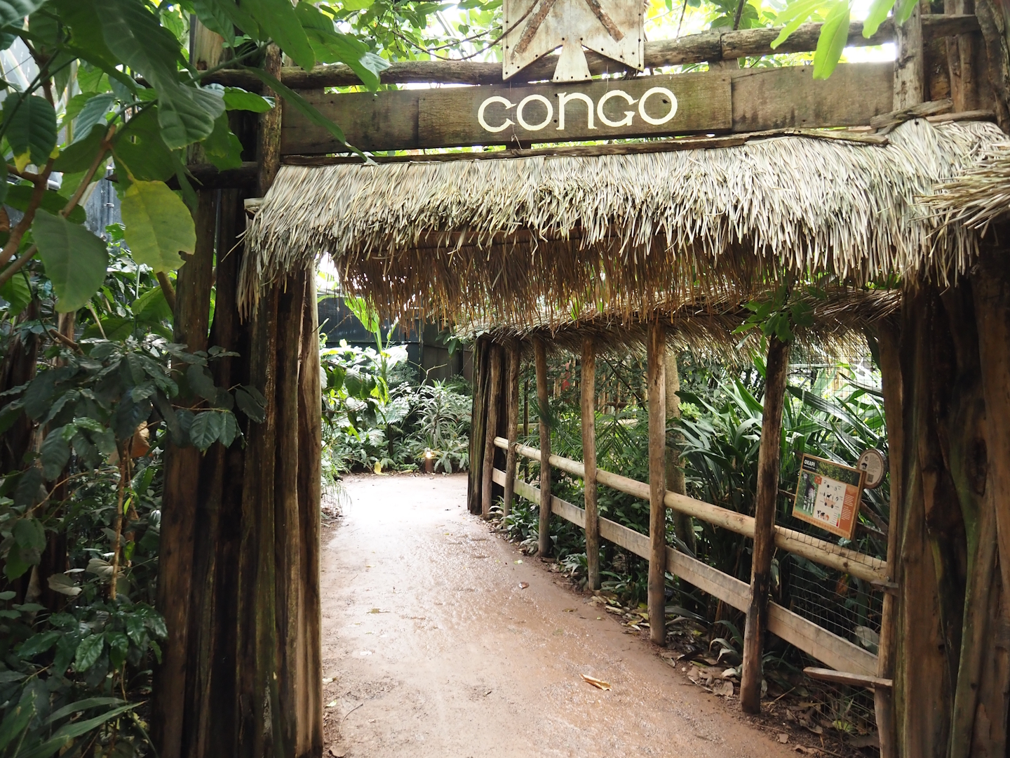 Walkway in the Okapi greenhouse - Indoor housing for okapis and birds of Congo Forest aviary, 2024-06-30