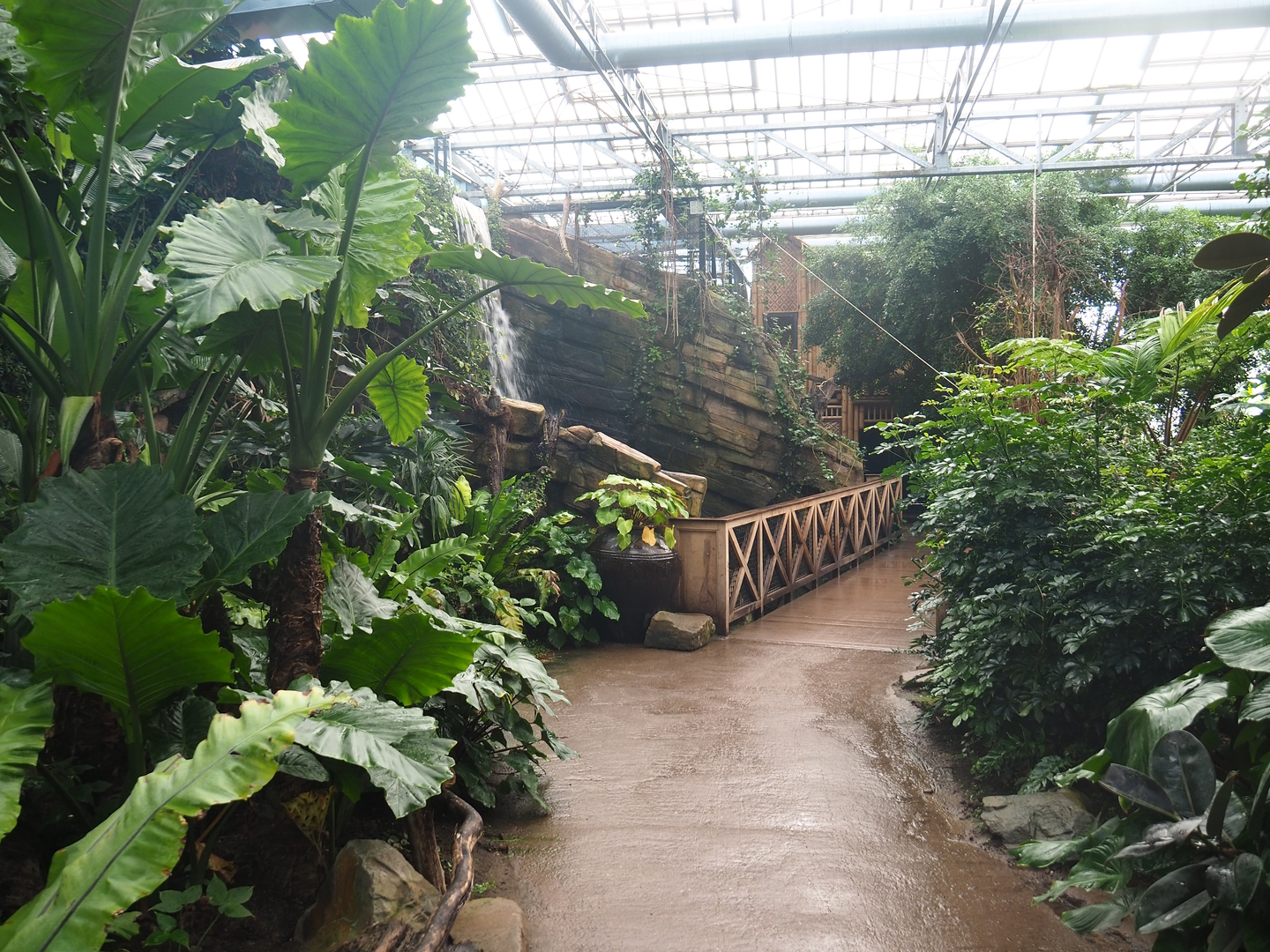 Walkway in the orangutan greenhouse, 2022-09-12
