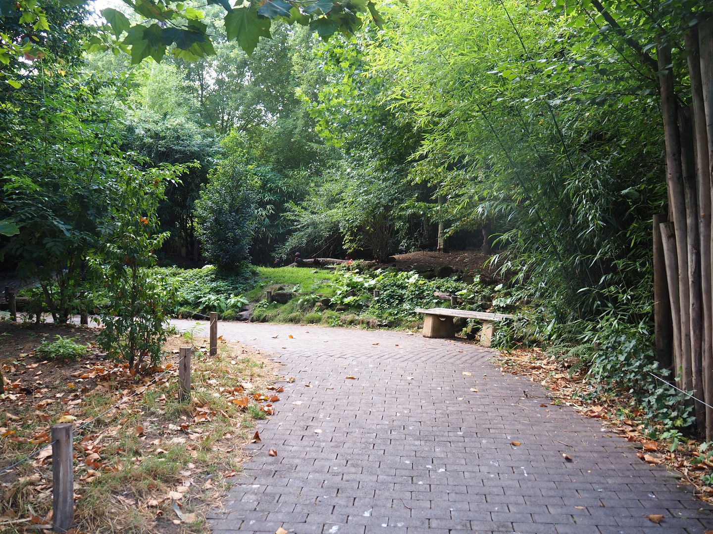 Walkway in the Puna South American aviary, 2022-08-20