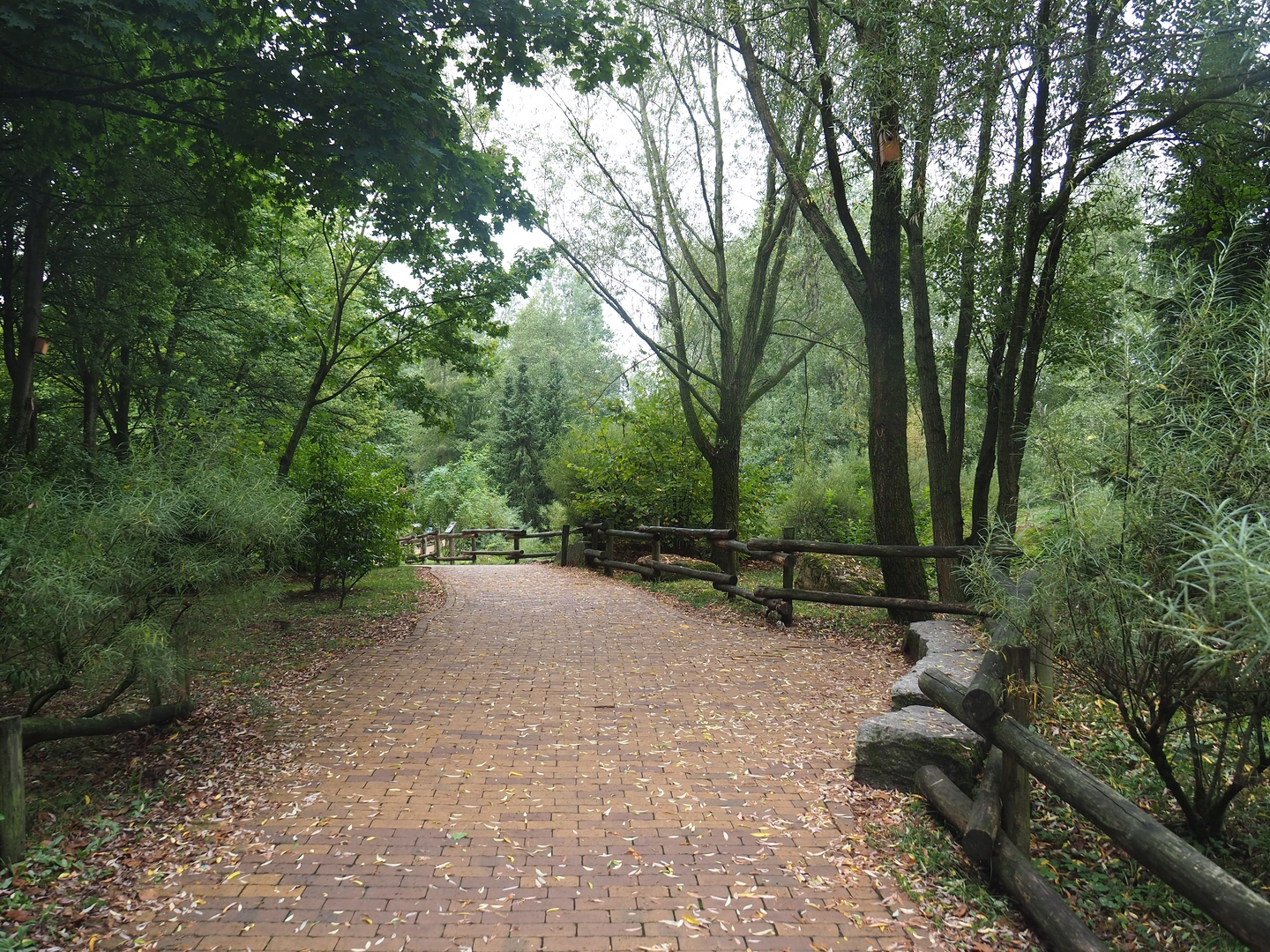 Walkway in the Taiga area, between the wolverine and reindeer exhibits, 2022-08-20