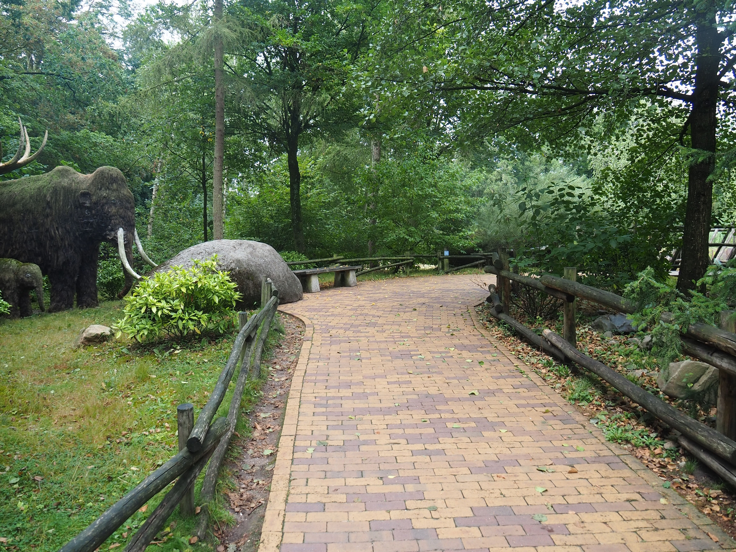 Walkway in the Taiga area, near the reindeer exhibit, 2022-08-20