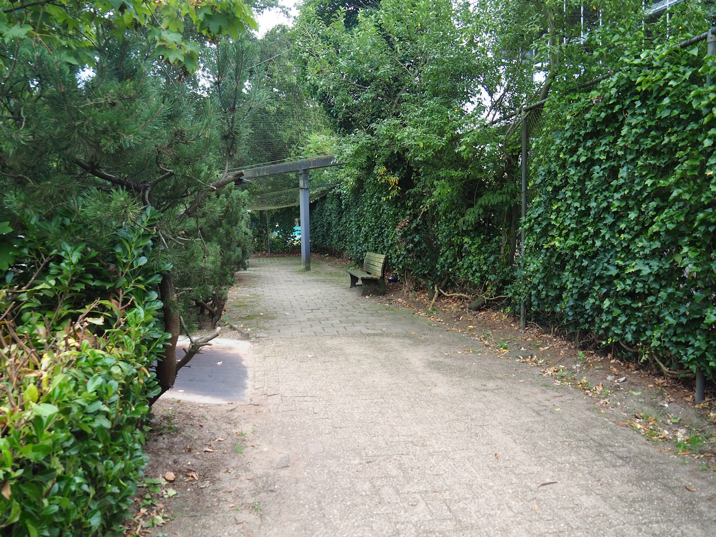 Walkway in Wadden aviary with Harbor seals and Great cormorants, 2023-08-17