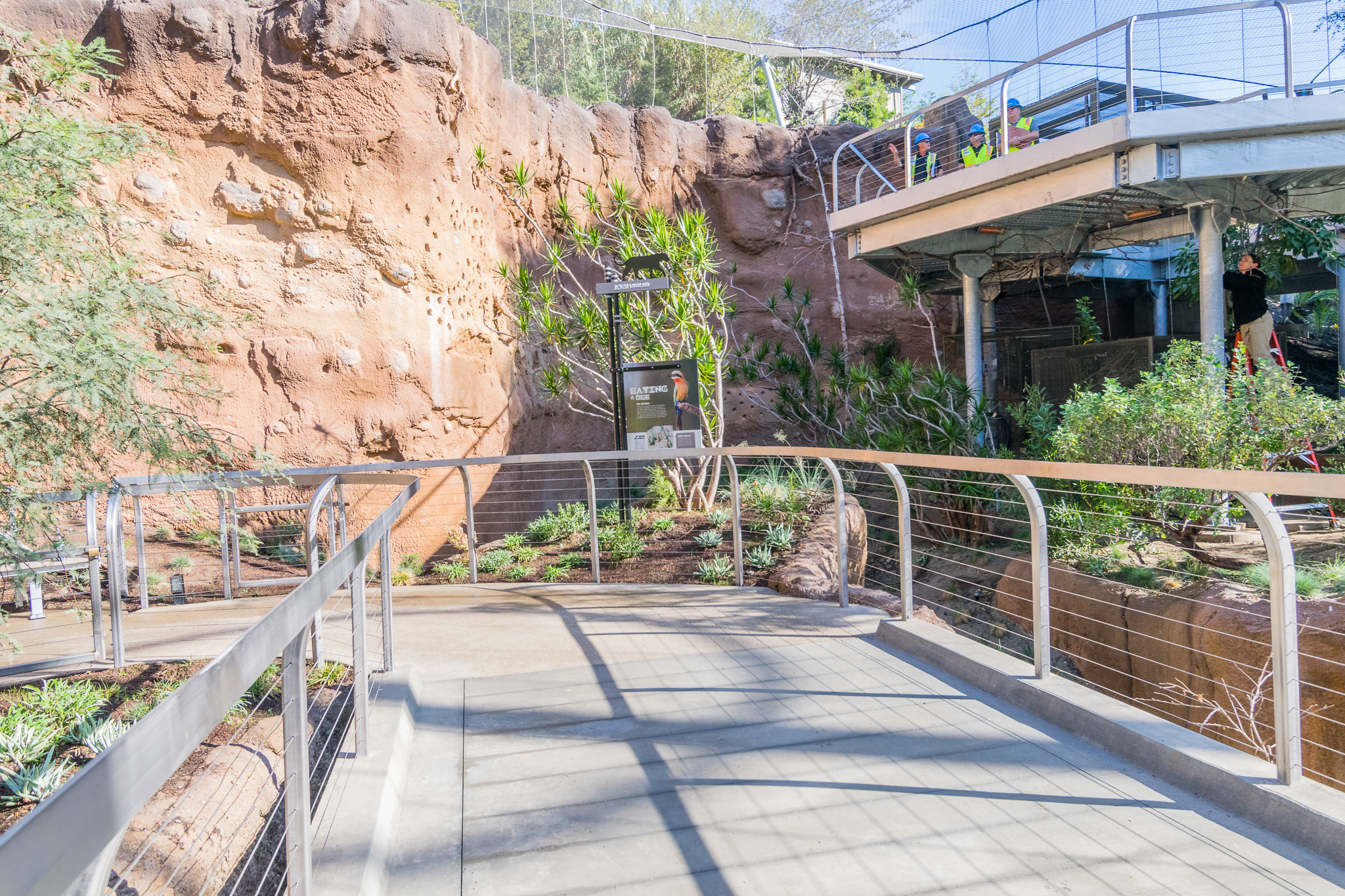 Walkway inside lower aviary