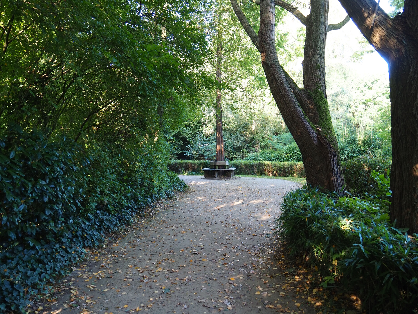 Walkway near Black howler monkey island and Dalmatian pelican exhibit, 2022-10-09