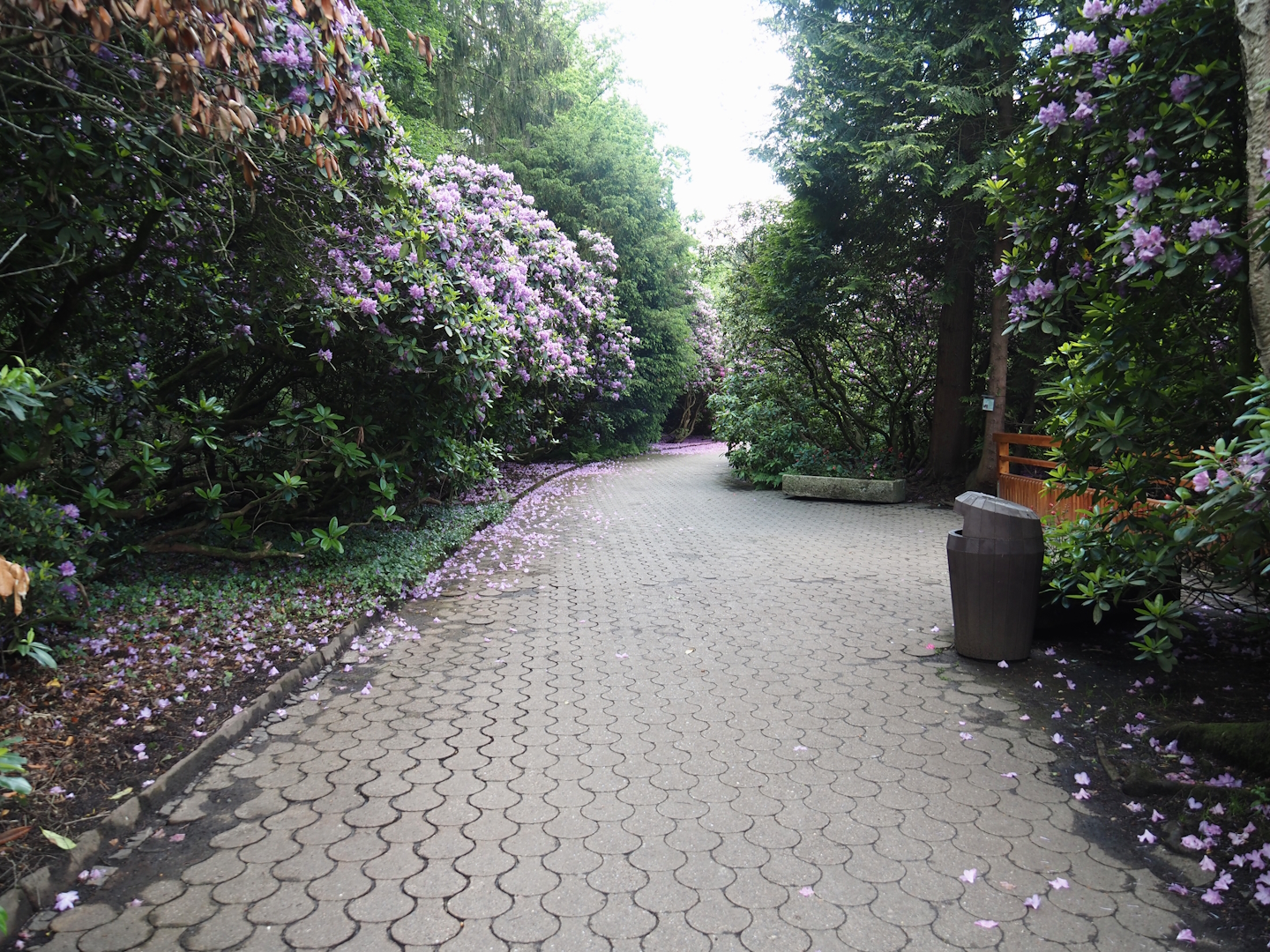 Walkway near flamingo exhibits, 2024-05-23