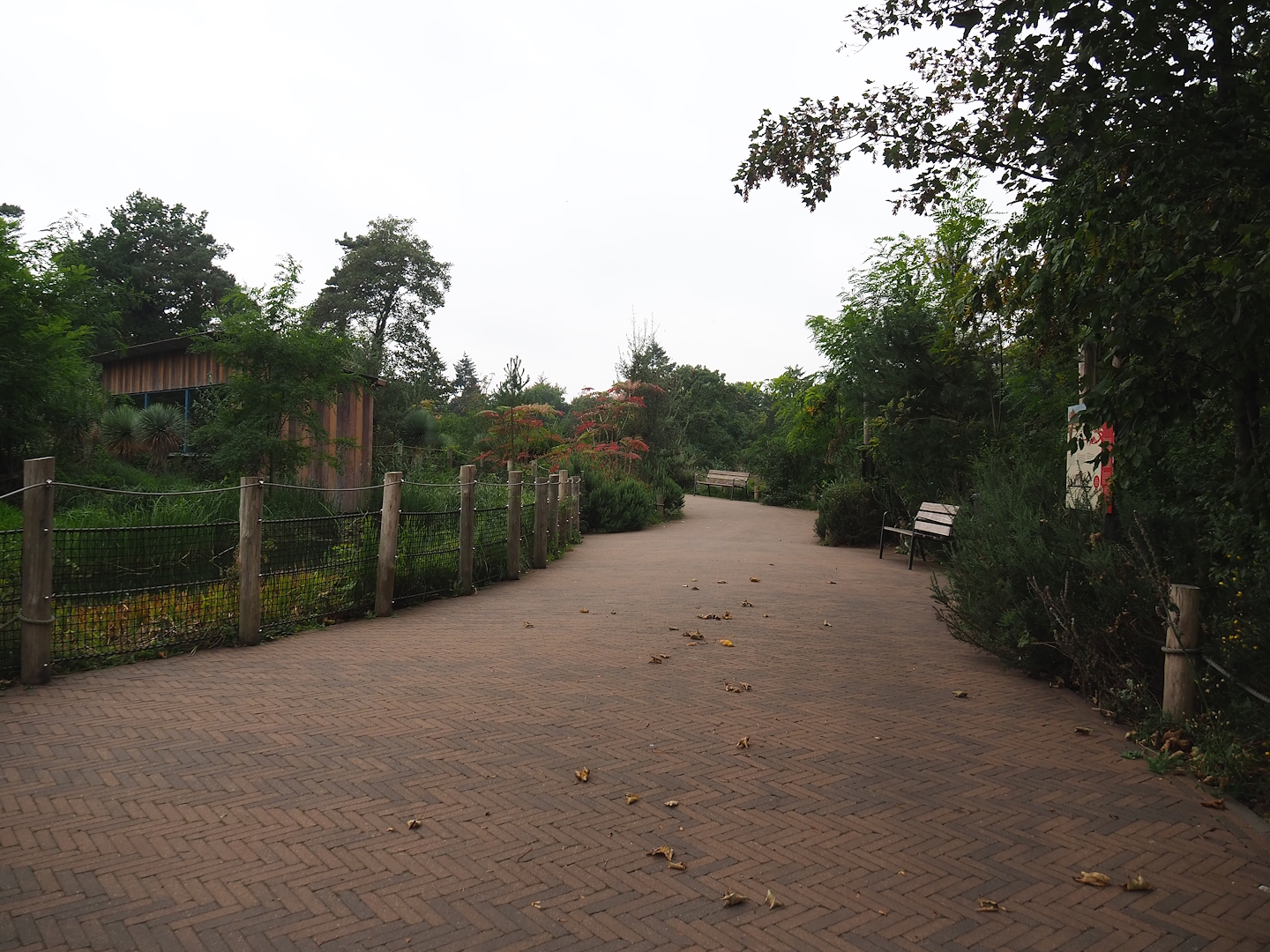 Walkway near lemur island, 2023-10-07