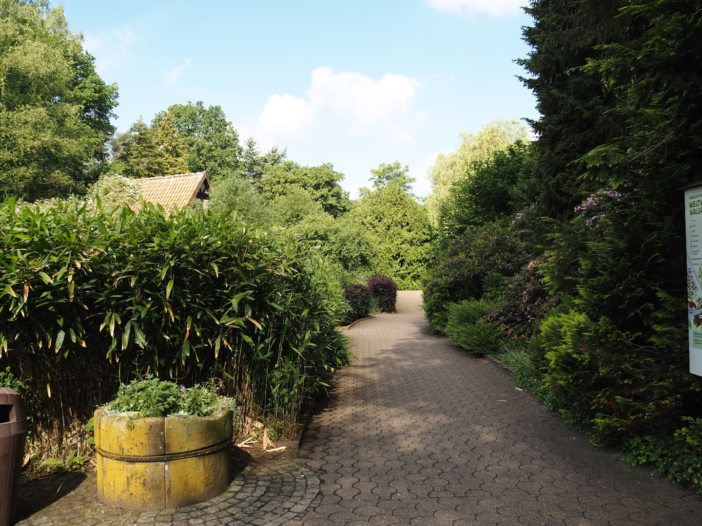 Walkway near Peruvian pelican exhibit, 2024-05-24