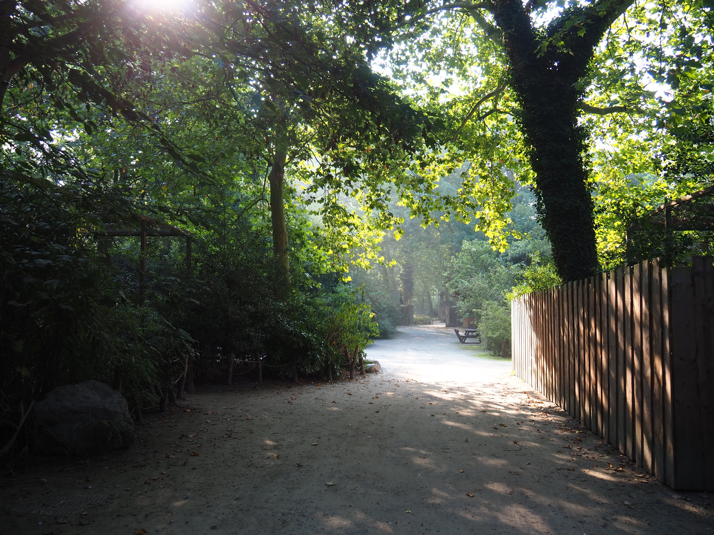 Walkway near the American aviaries, 2020-09-16