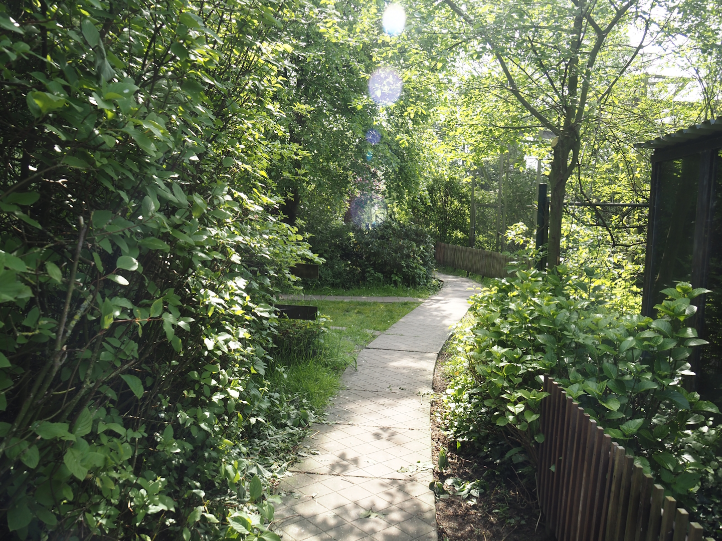 Walkway near the corsac fox exhibit, 2024-05-11