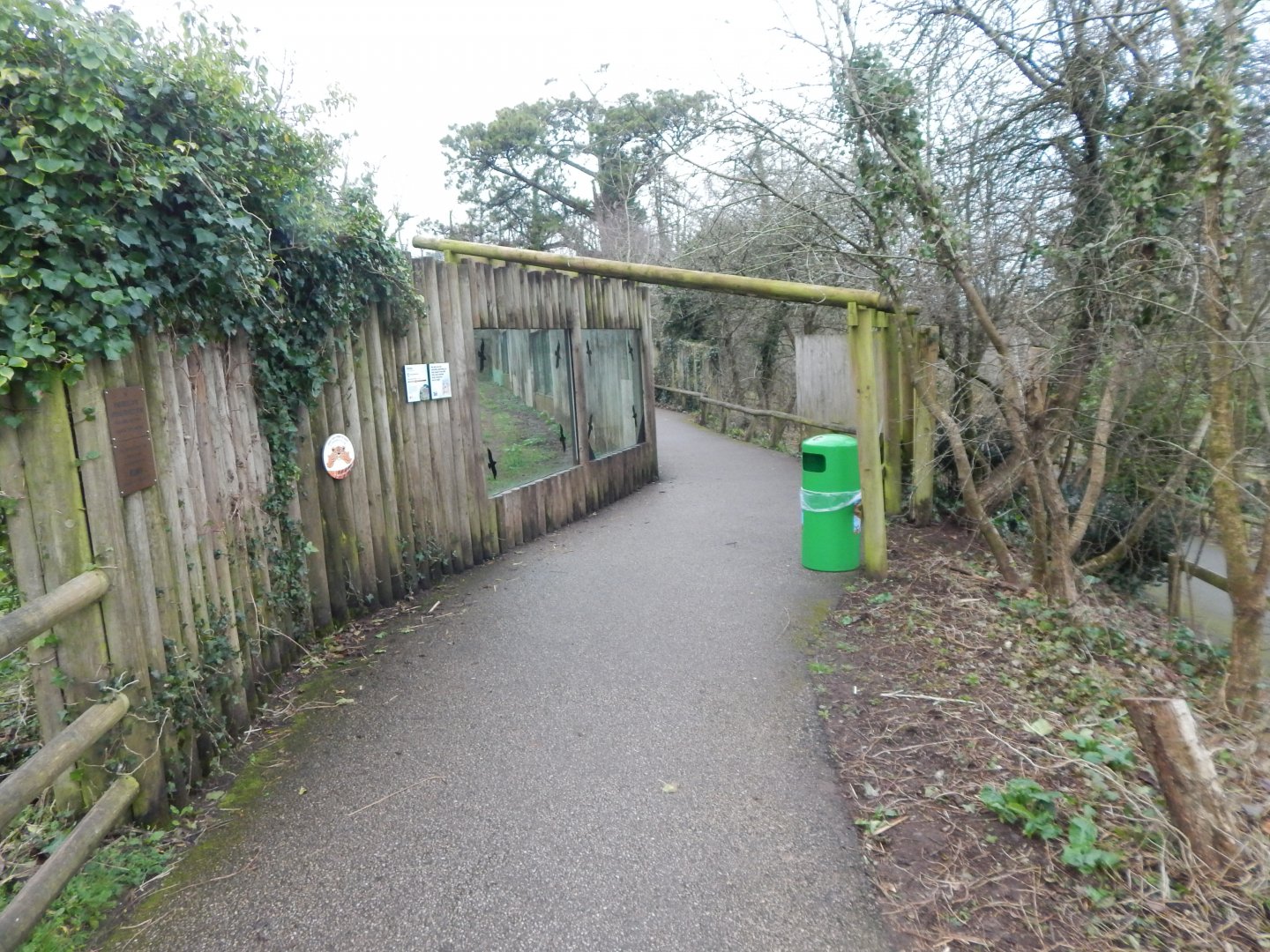 Walkway next to South African cheetah enclosure 050224