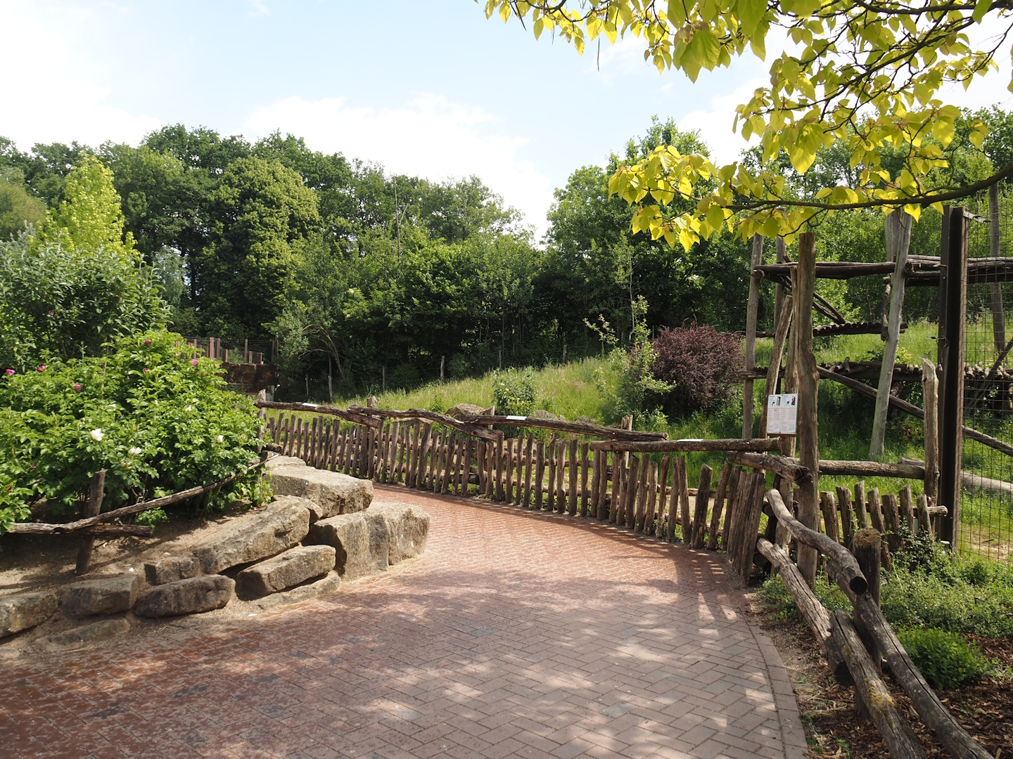 Walkway next to the Indian sloth bear and European golden jackal exhibit, 2025-05-22