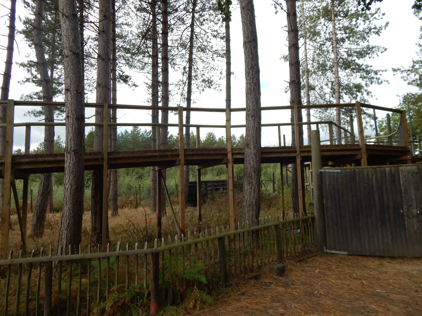Walkway next to Wilder Blean Project and Eurasian elk habitat 030924