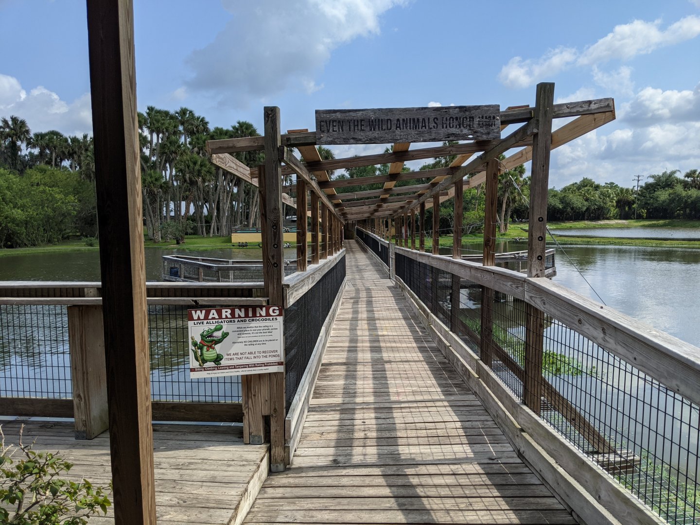 Walkway over gator and crocodile pond