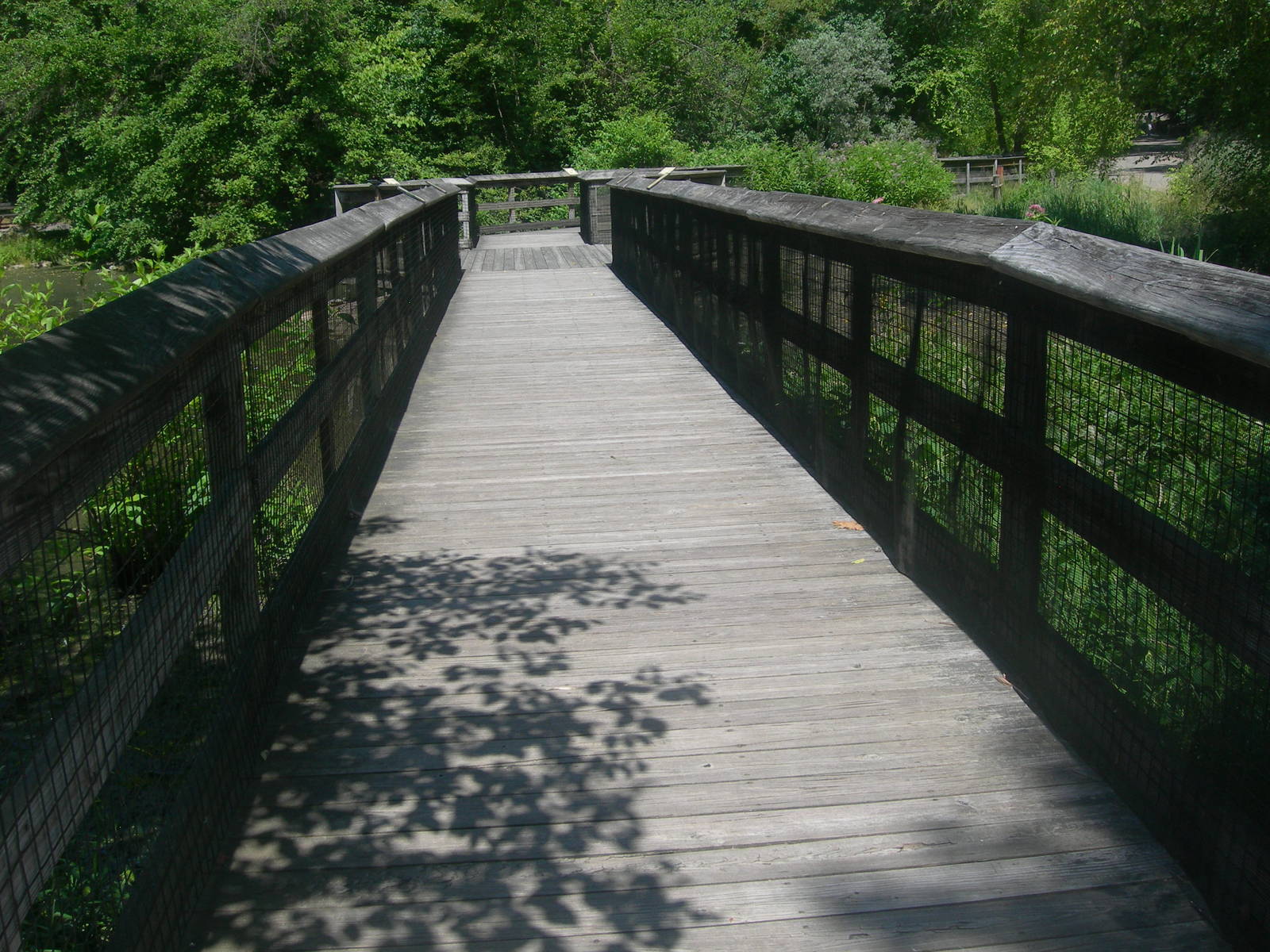 Walkway threw wetlands exhibit