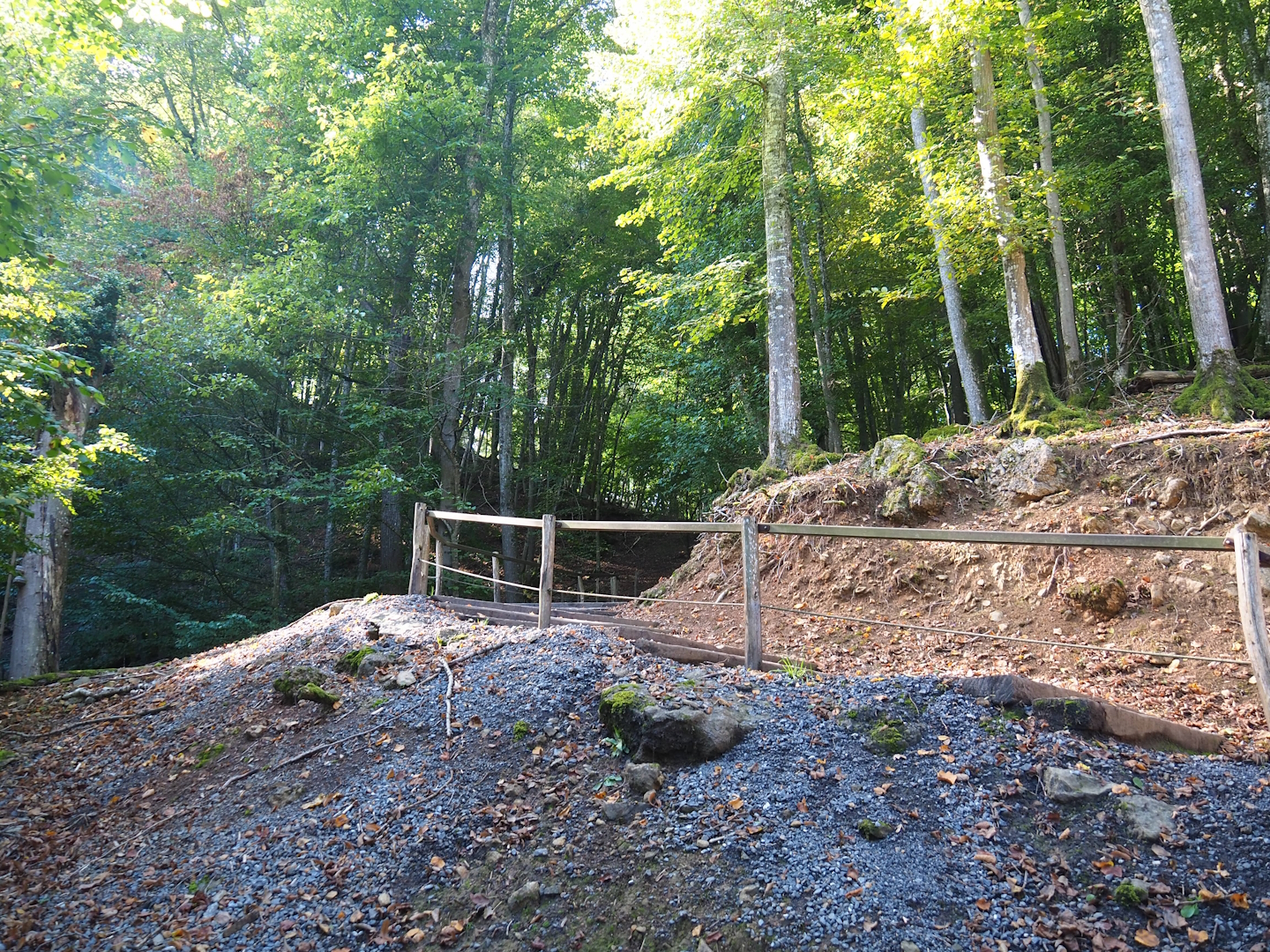 Walkway through ravine forest from higher area to lower area, 2023-09-26