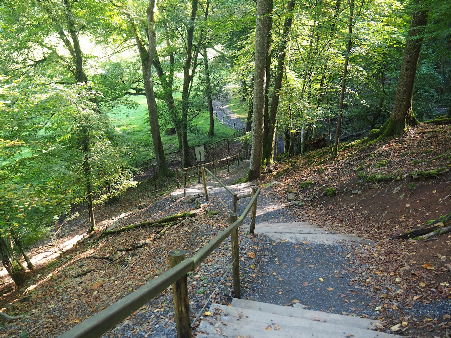 Walkway through ravine forest from higher area to lower area, 2023-09-26