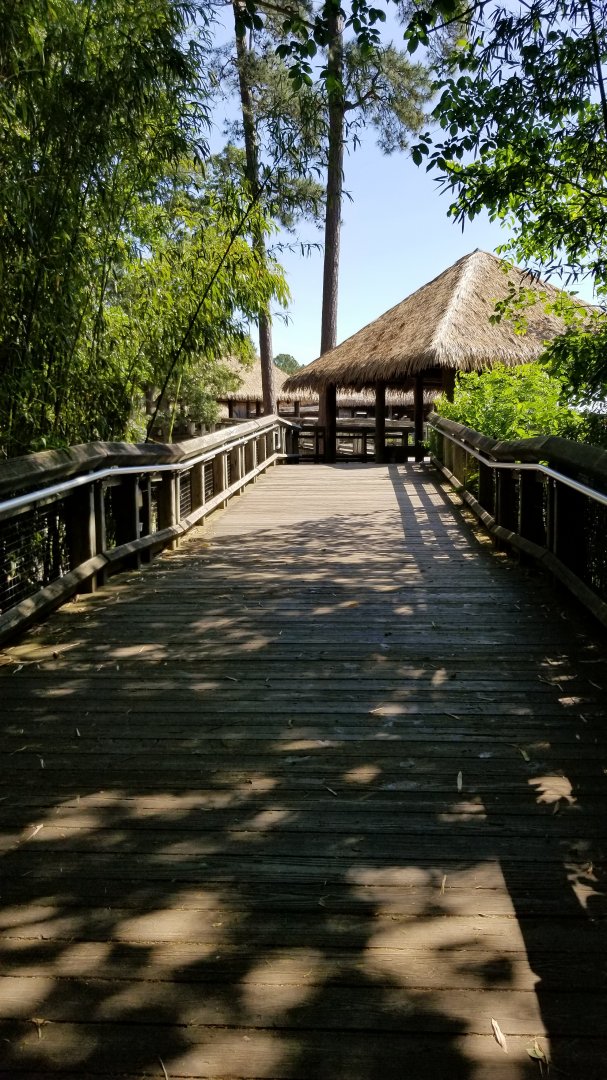 Walkway to Africa