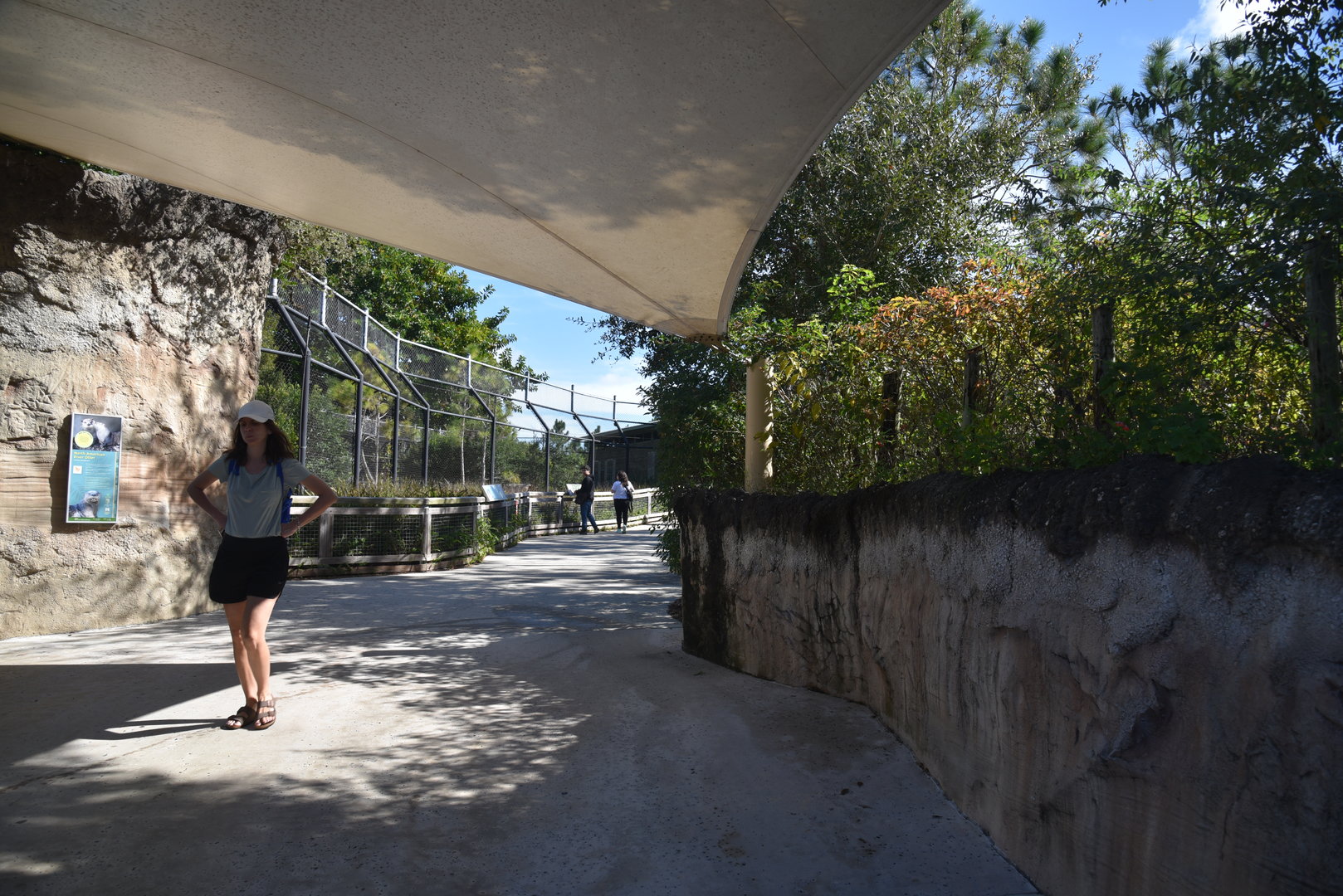 Walkway to American Black Bear