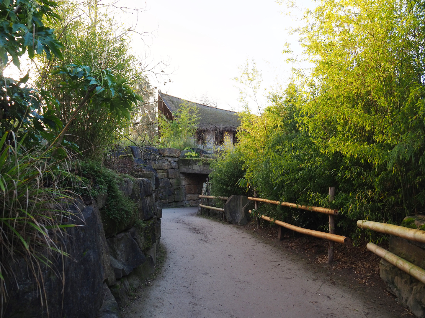 Walkway to lower Asian elephant viewing area, 2022-01-30