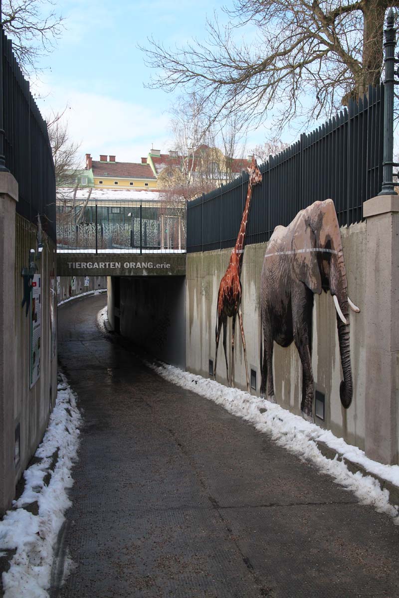 walkway to orangutan building