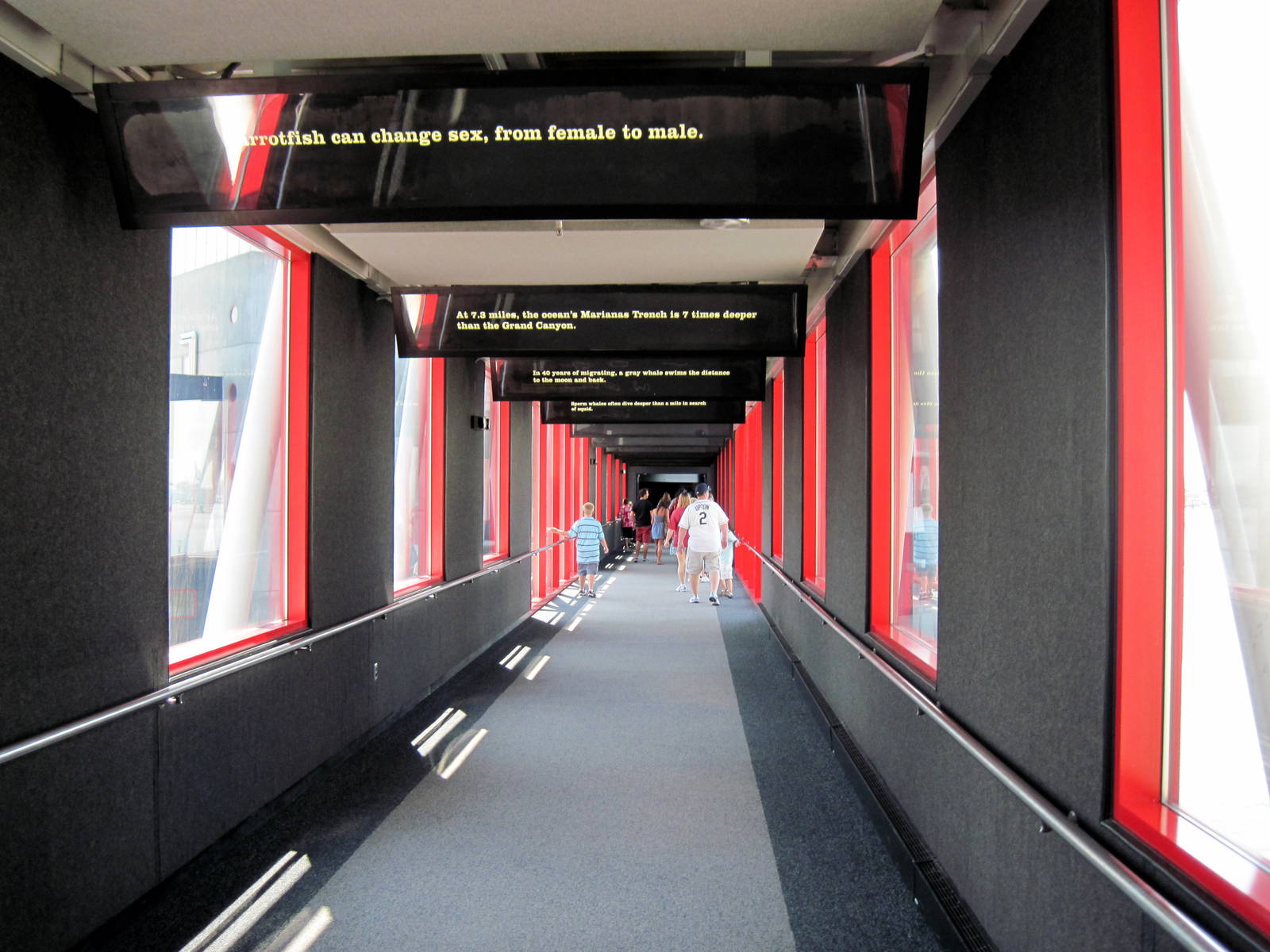 Walkway to Pier 4 Pavillion