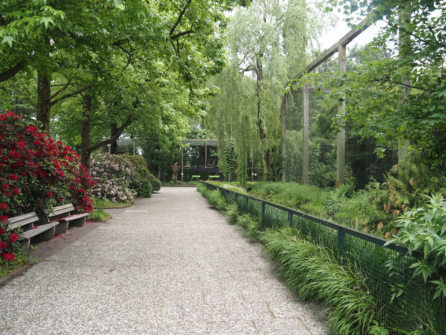Walkway to raptor aviaries alongside Steller's sea eagle aviary, 2024-05-21