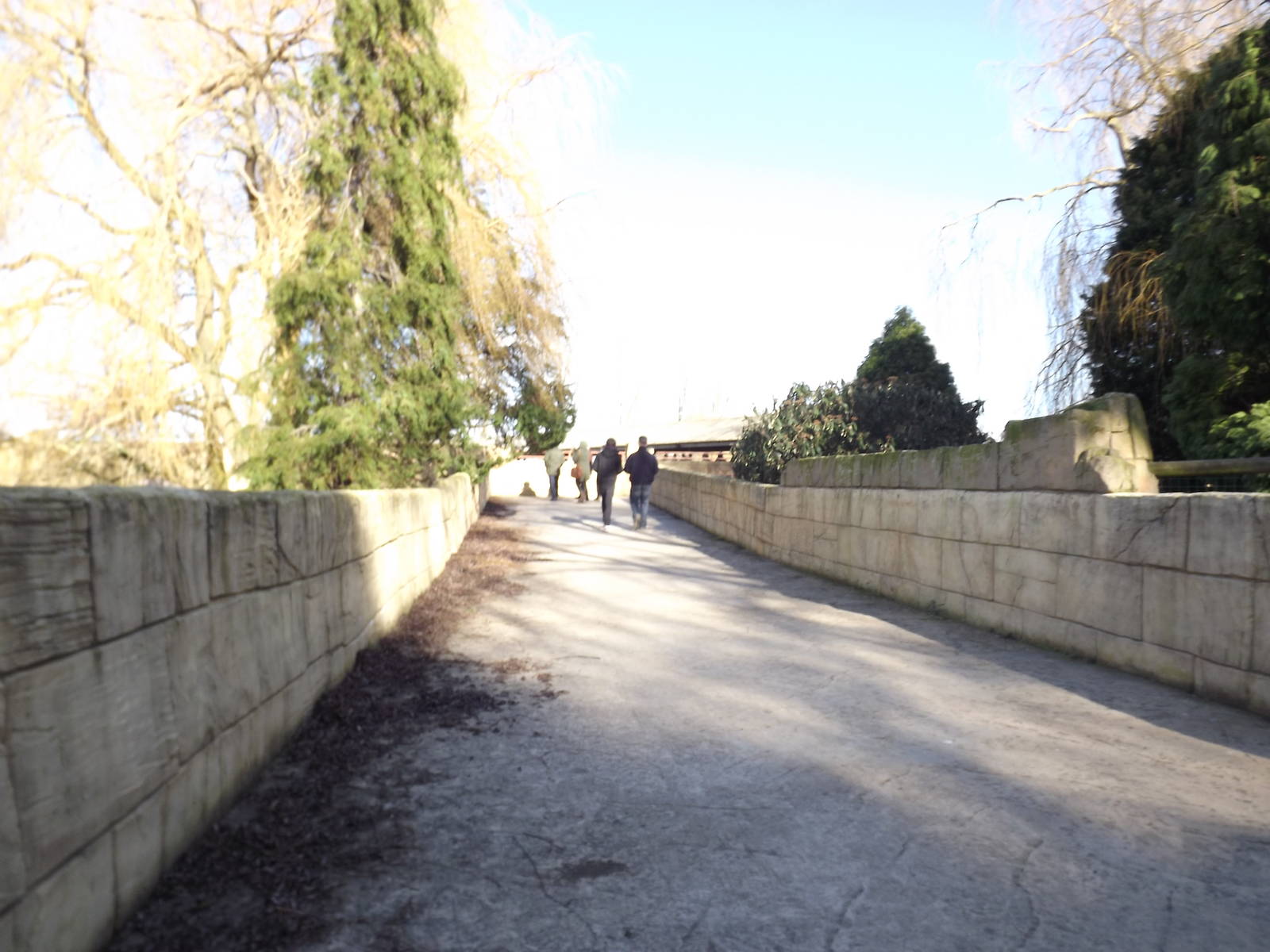 Walkway to Tigers at Flamingoland 19/02/12