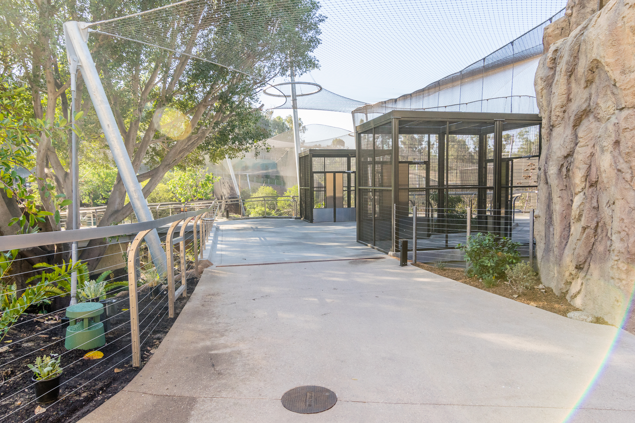 Walkway to upper aviary entrance.