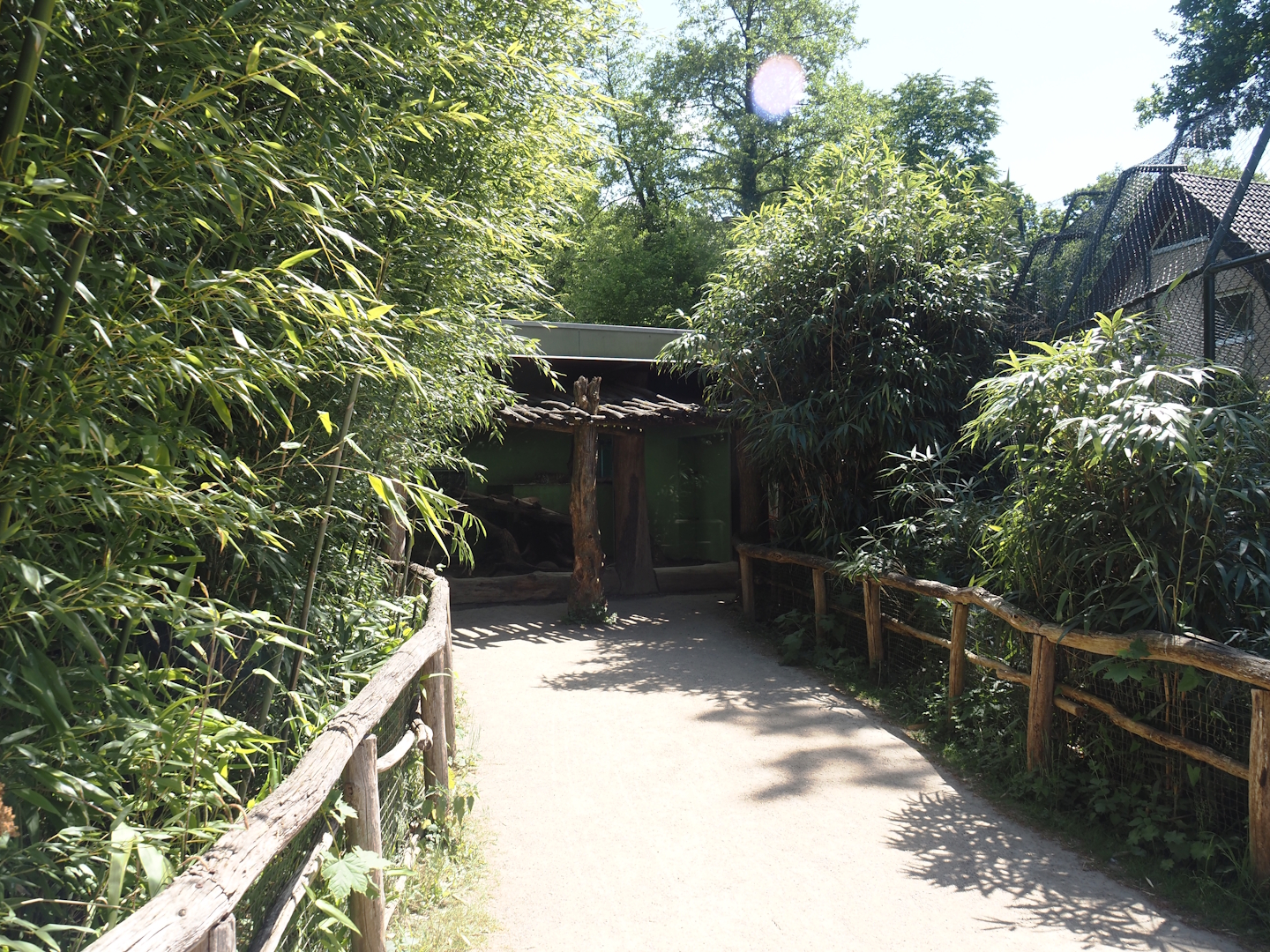 Walkway to viewing area for second Sumatran tiger indoor exhibit and tunnel underneath second tiger exhibit, 2025-05-22