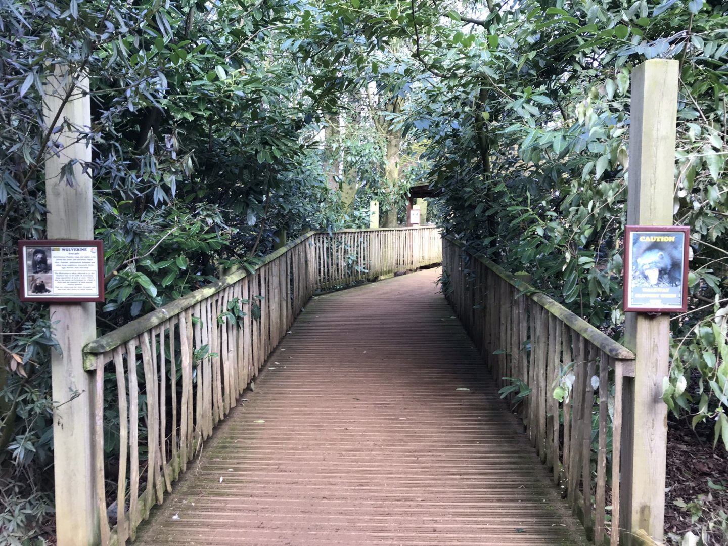 Walkway to Wolverine exhibit 250118