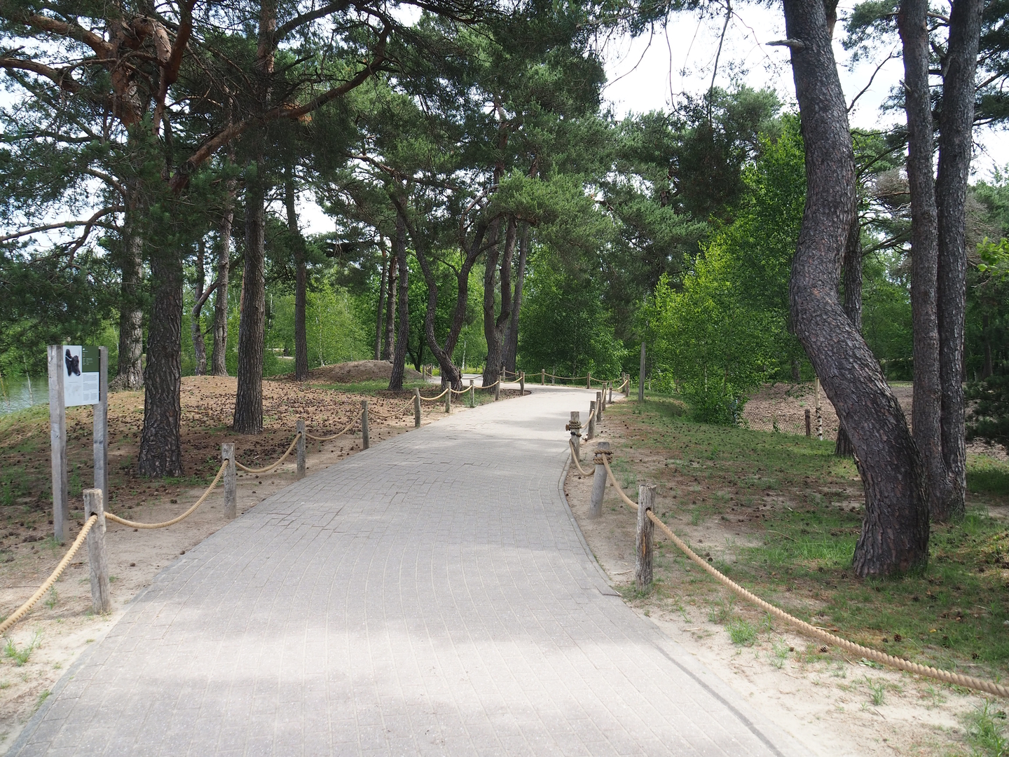 Walkway towards Amur tiger, with views of safari boat canal and yak exhibit, 2022-06-12