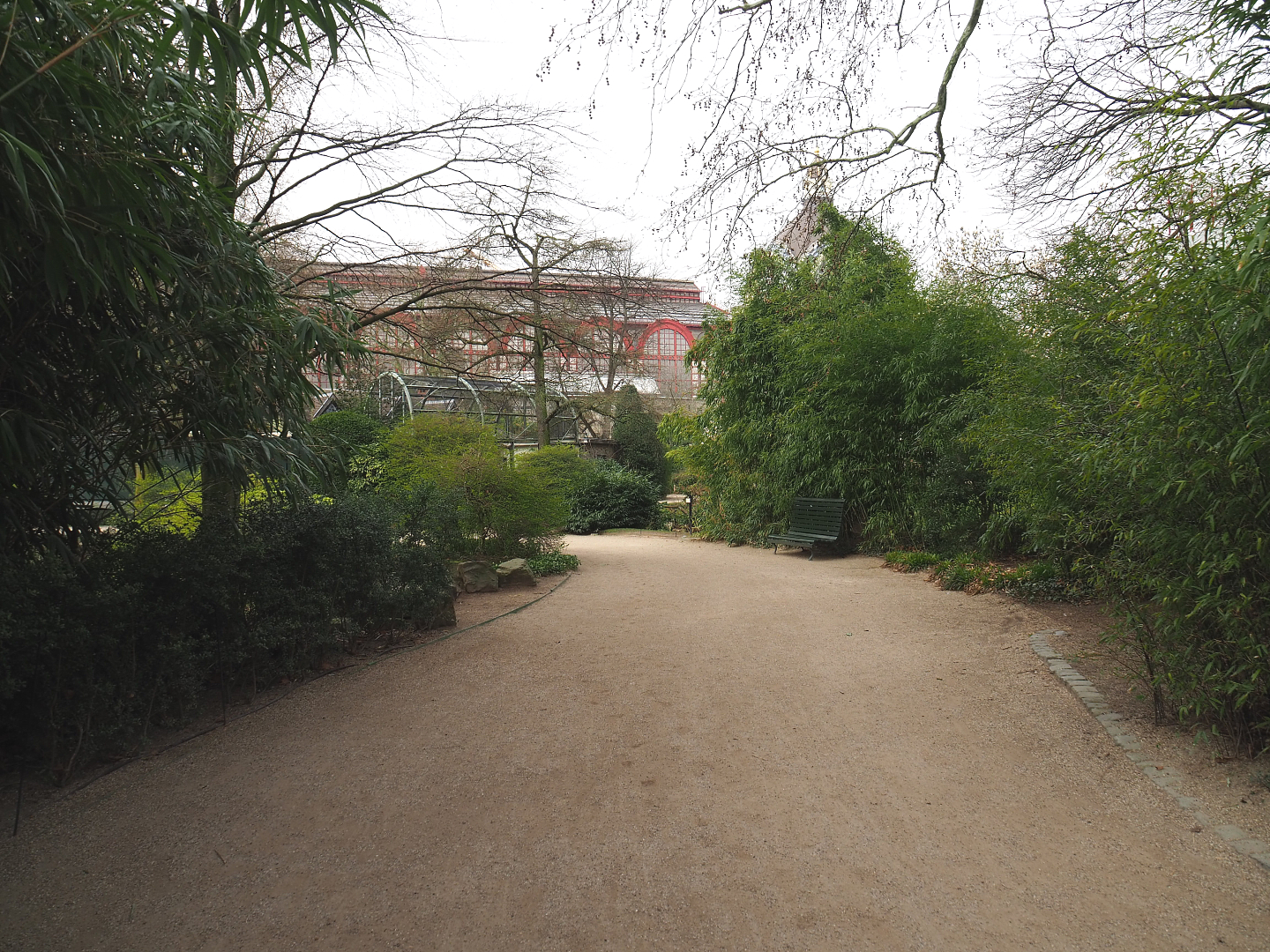 Walkway towards aviaries between hippopotamus house and bongo paddock, 2022-03-16