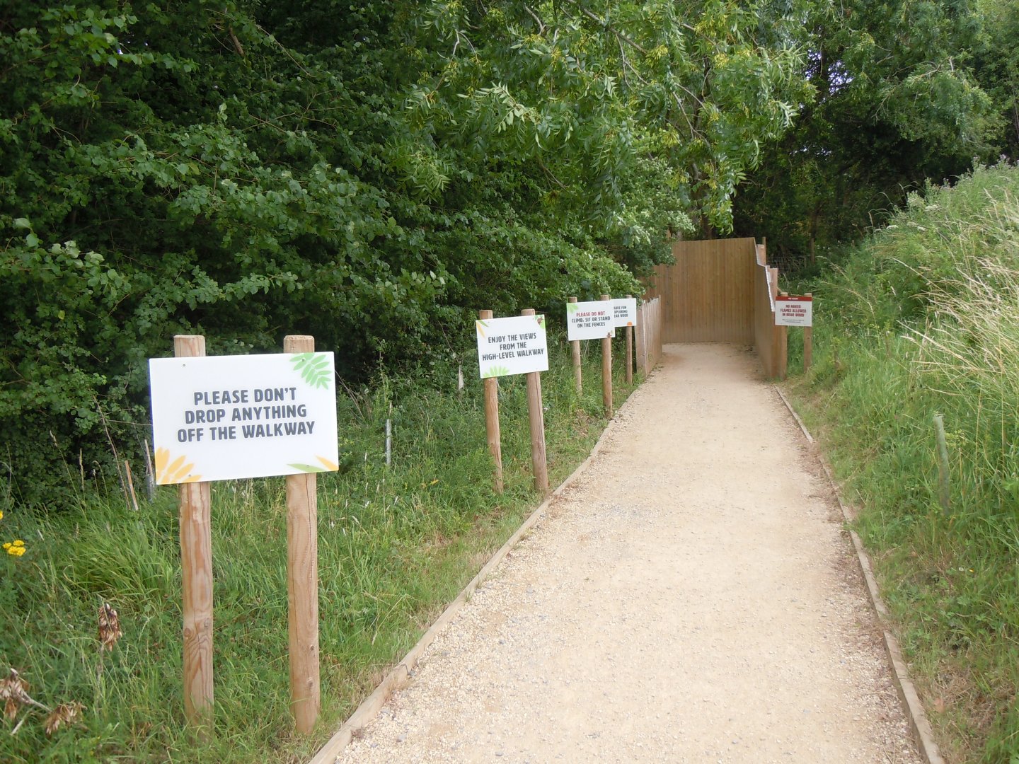 Walkway towards Bear Wood 290620