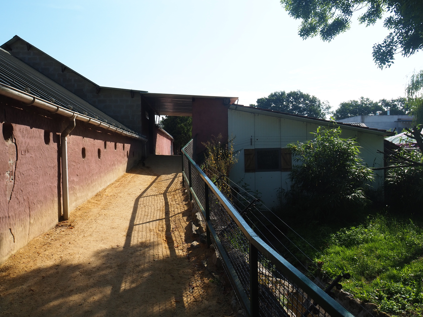 Walkway towards Chimpanzee indoor housing and Bird Museum, 2019-06-01
