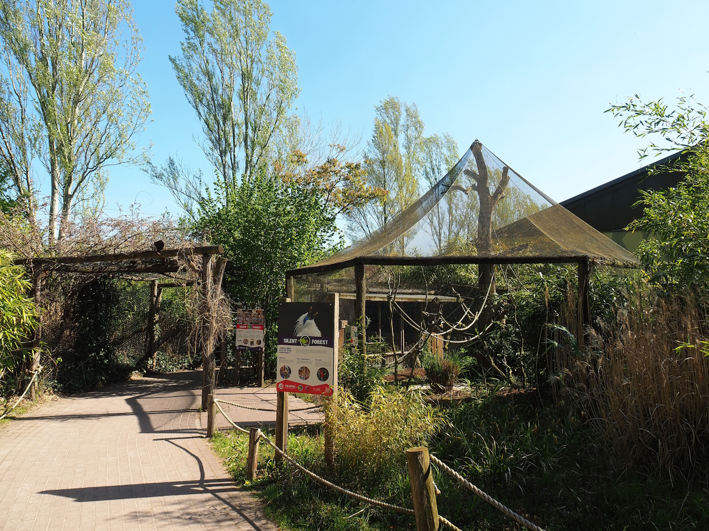 Walkway towards elephant house and Java sparrow, Pied imperial pigeon and Golden pheasant aviary, 2023-04-30