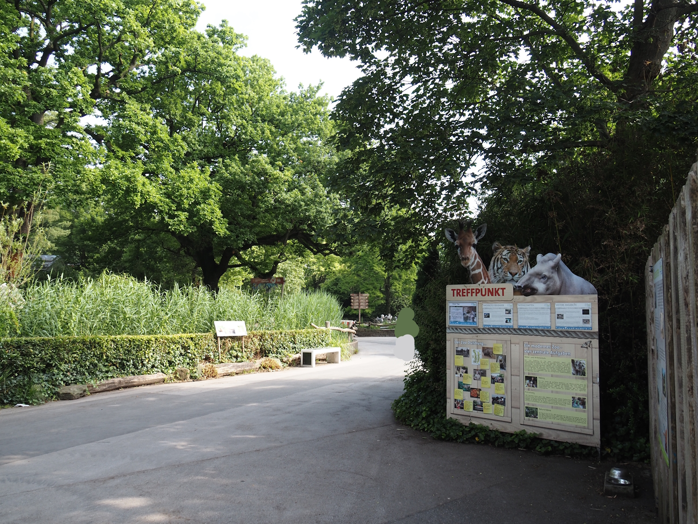 Walkway towards elephants and pelican pond, 2024-06-08