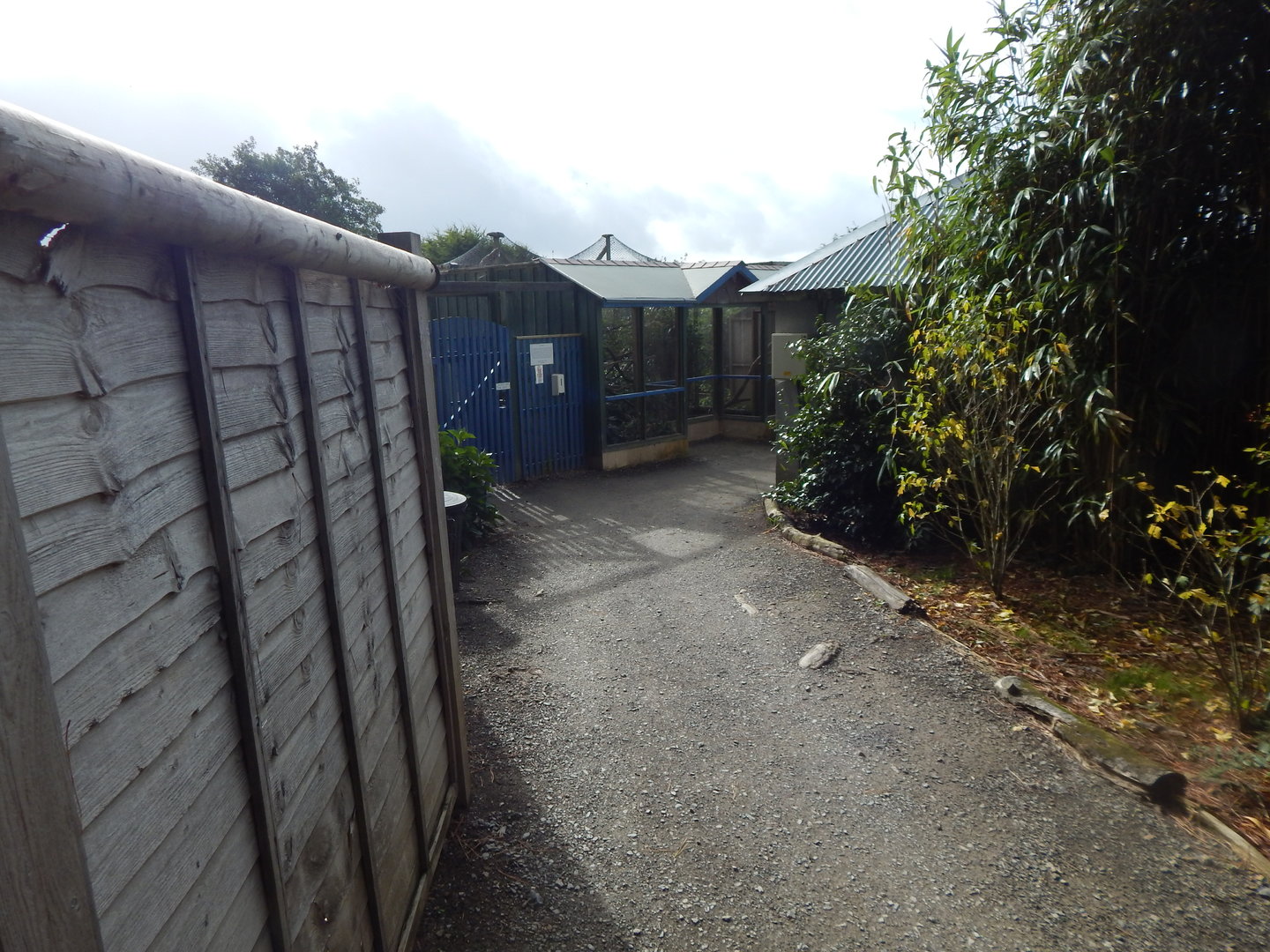 Walkway towards enclosures 151022