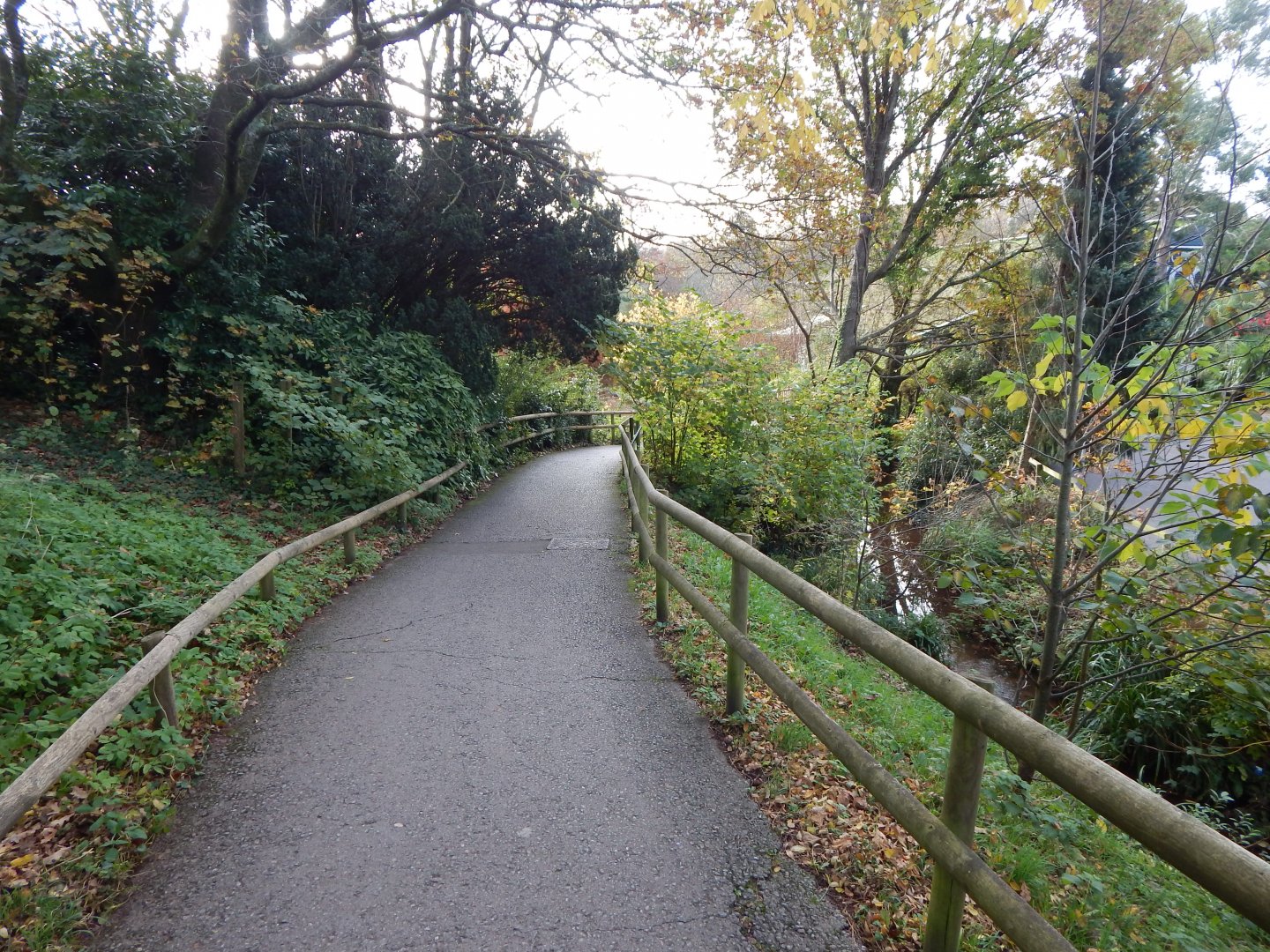Walkway towards entrance 201121