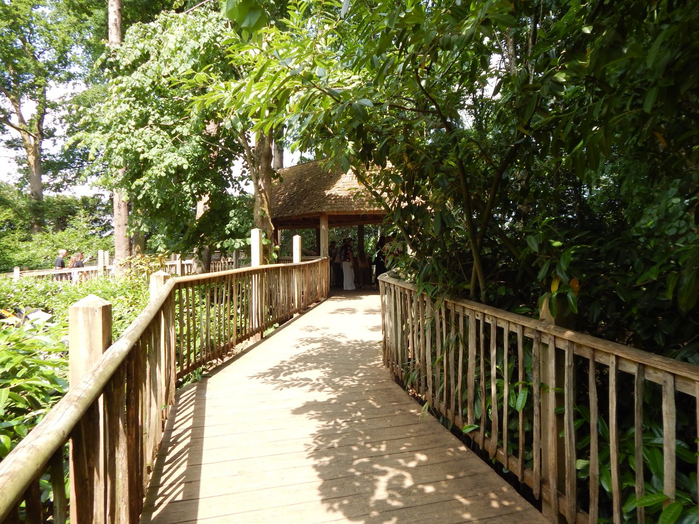 Walkway towards European wolverine enclosure 310525