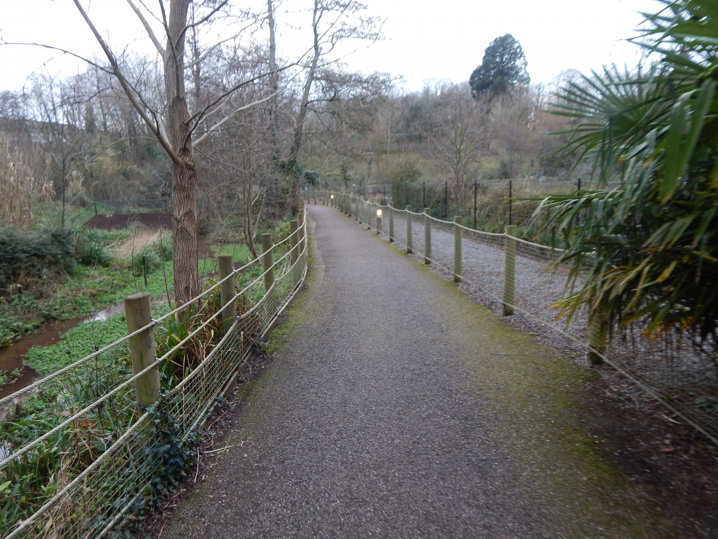 Walkway towards Lions passed central lake 050224
