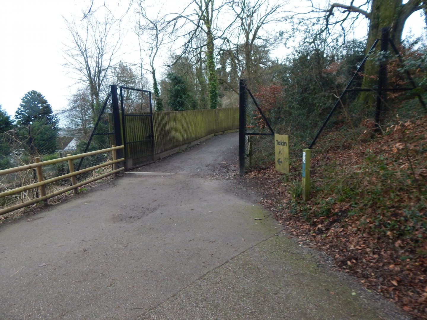 Walkway towards Mishmi takin enclosure 050224