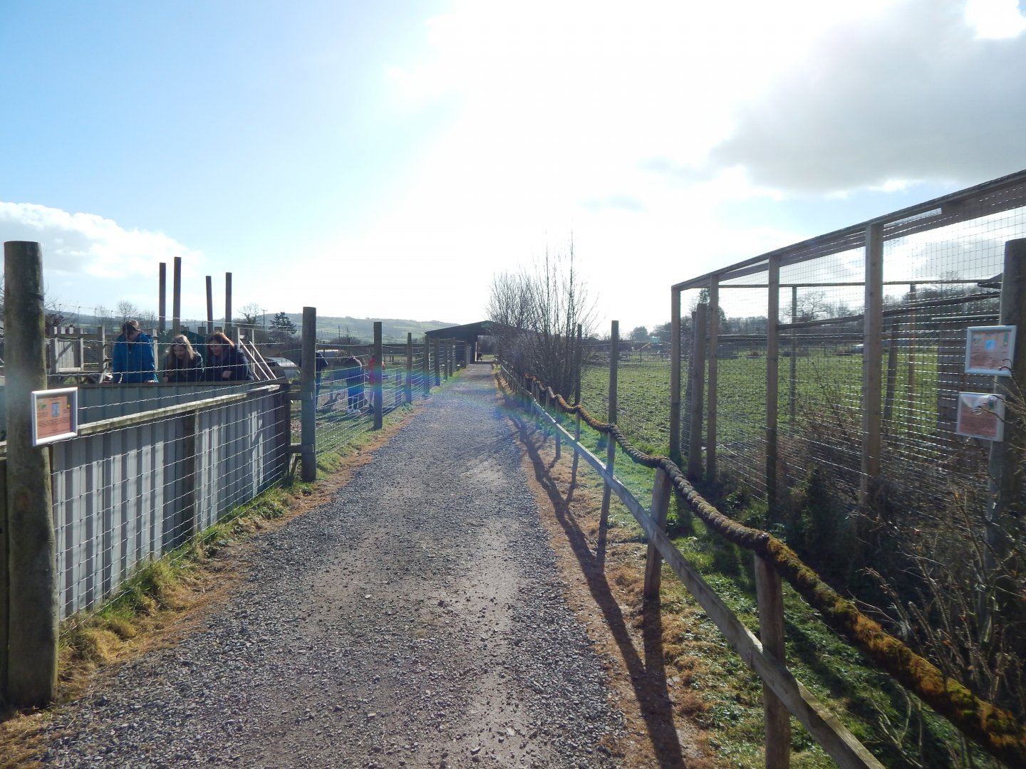 Walkway towards new building 250222