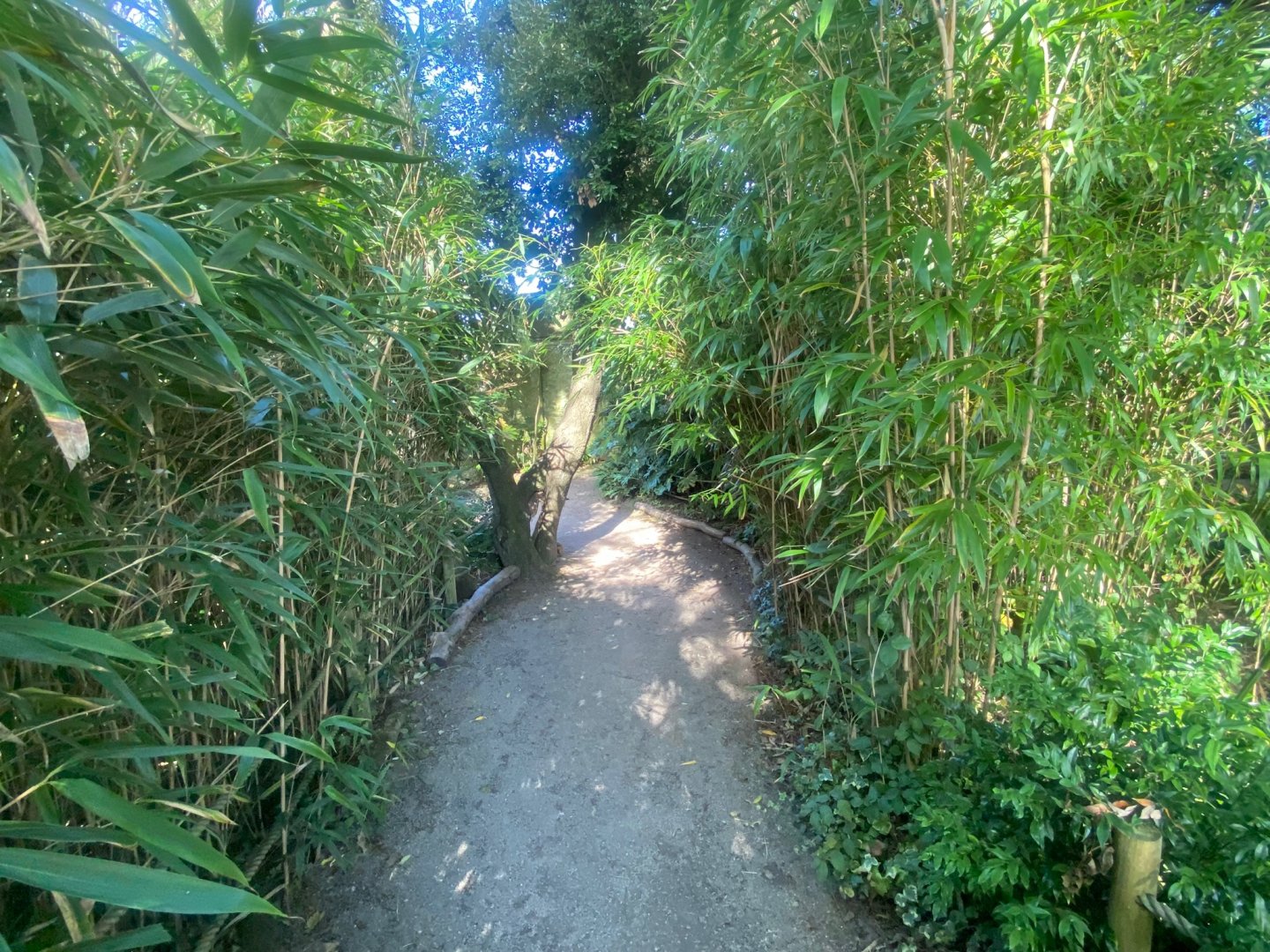 Walkway towards parrots and Golden eagle 081023
