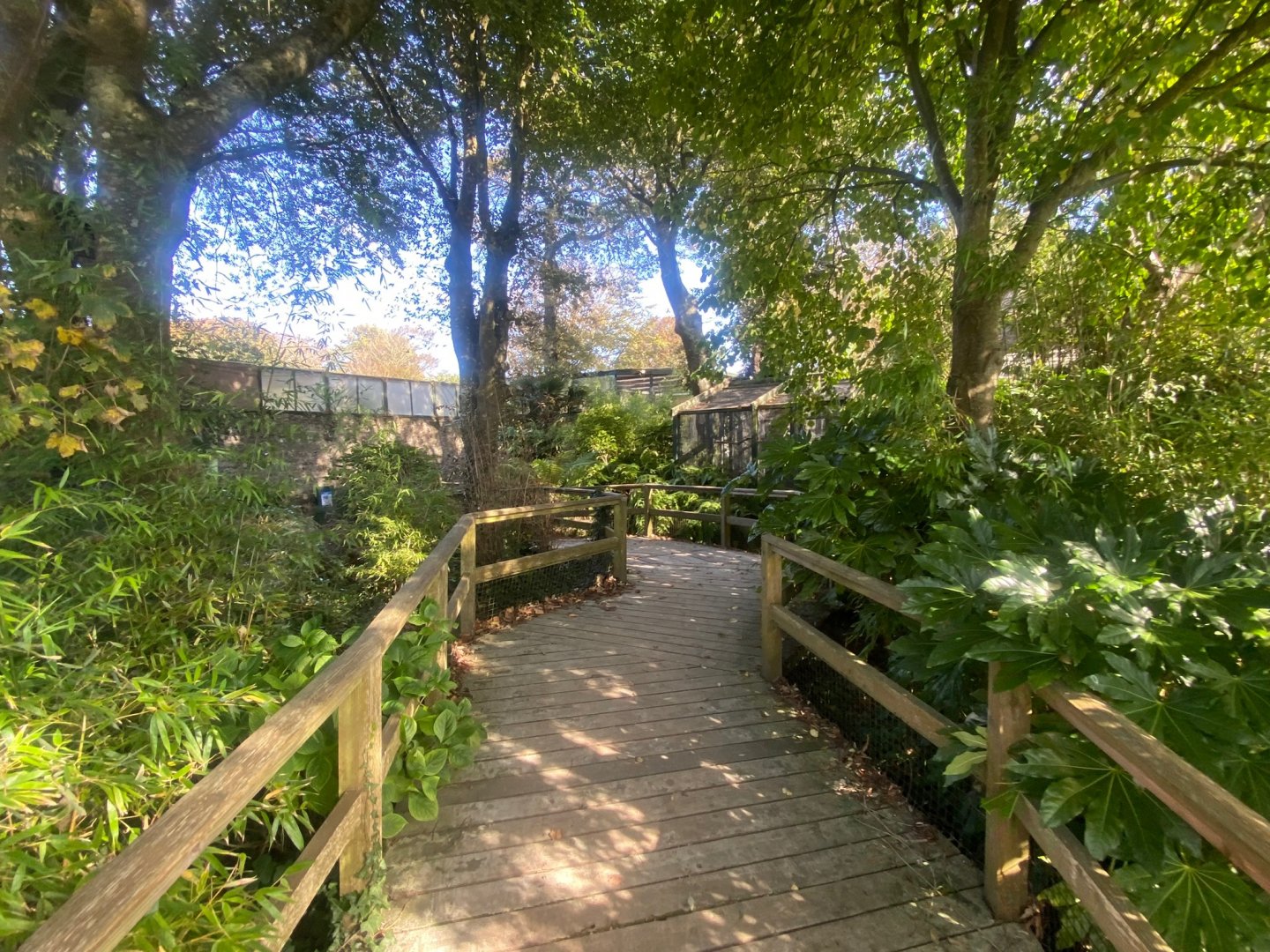 Walkway towards parrots and Golden eagle 081023