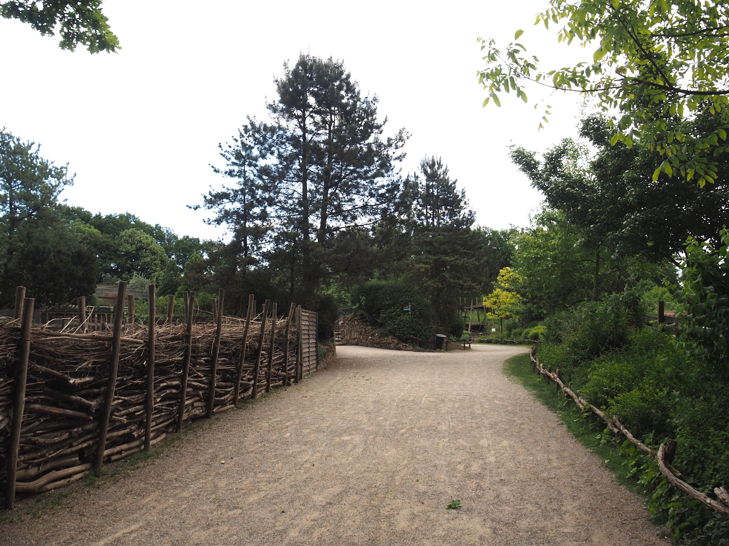 Walkway towards penguins, seals and bears, 2025-05-22