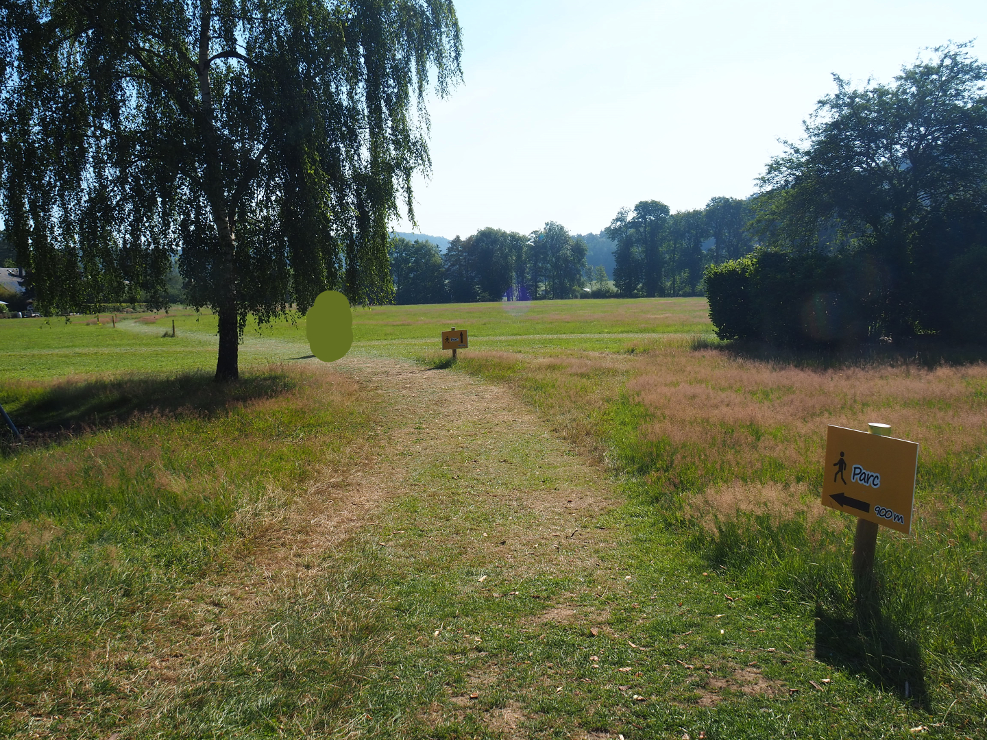 Walkway towards the wildlife park walking trail, 2020-07-12