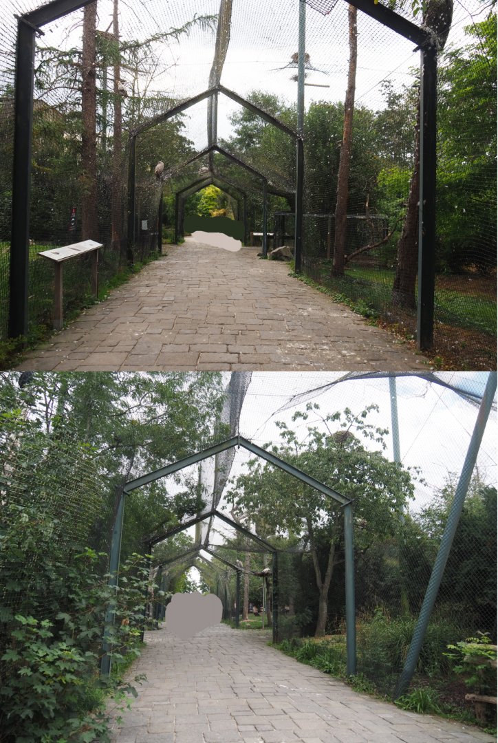 Walkway underneath raptor and vulture aviaries, 2020-09-02