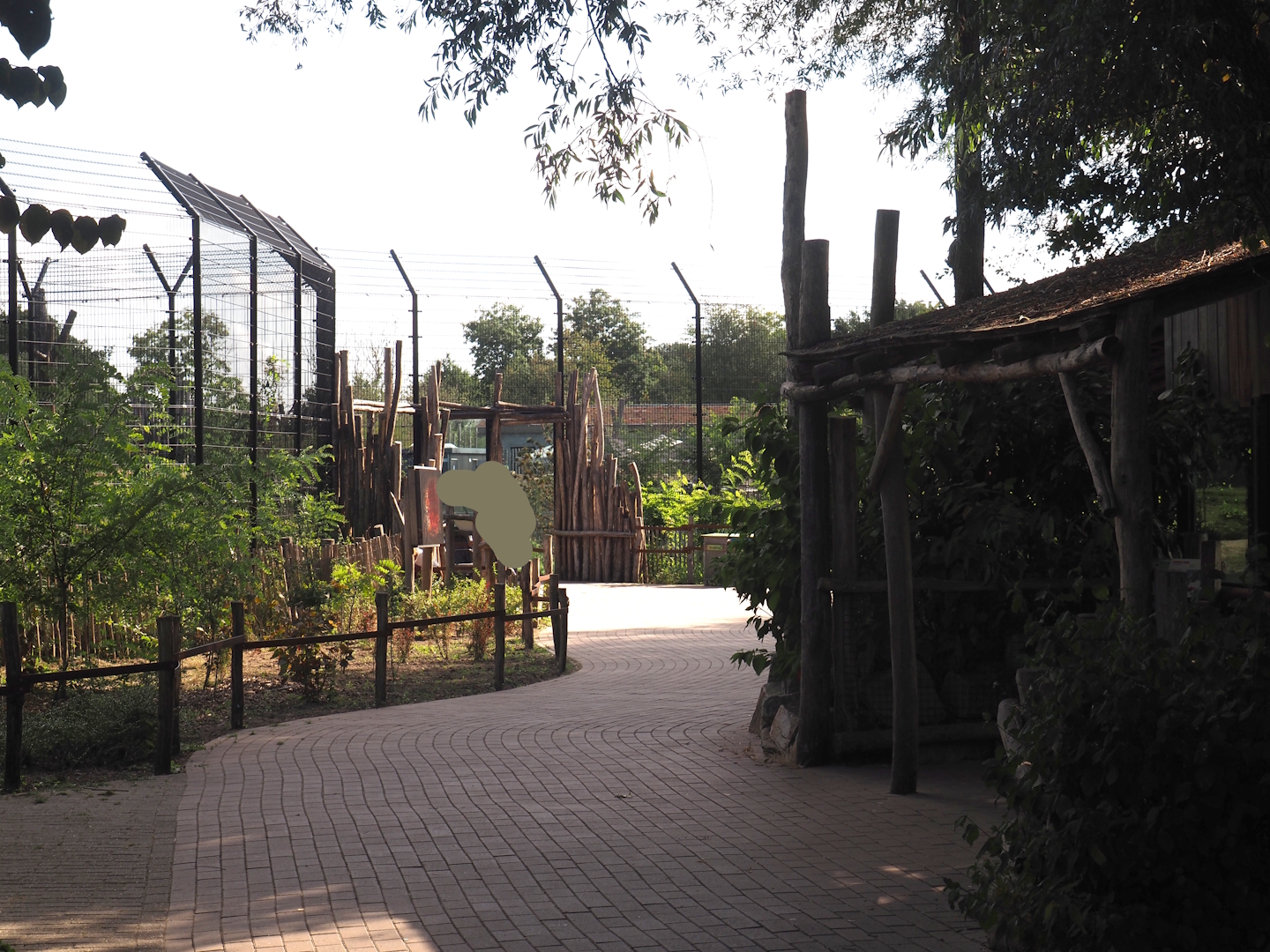 Walkway with Amur tiger (left side) and Eurasian brown bear (right side) viewing windodws, 2025-08-24